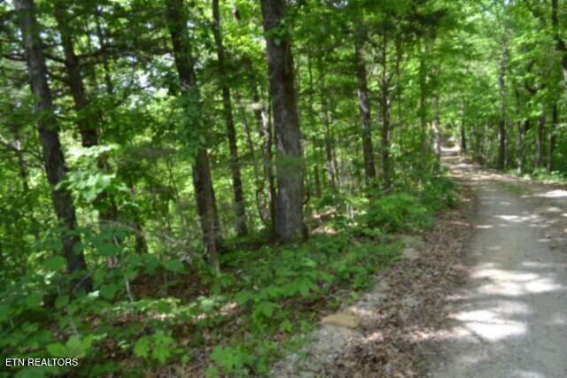 10.13AC Forest Trails Lane Celina TN 38551
