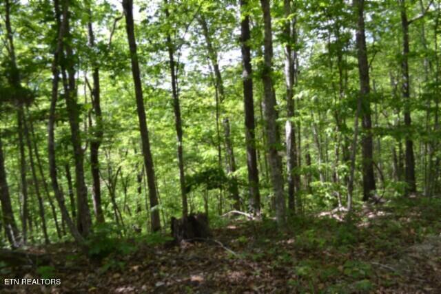10.13AC Forest Trails Lane Celina TN 38551