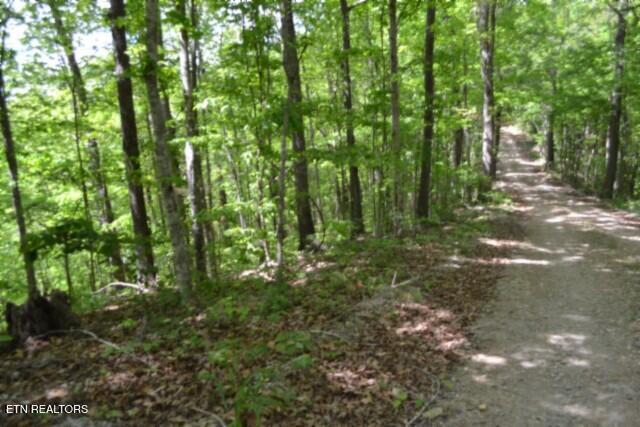 10.13AC Forest Trails Lane Celina TN 38551