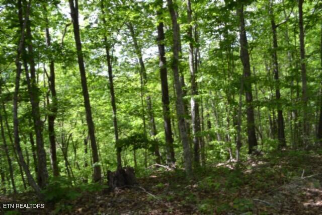 10.13AC Forest Trails Lane Celina TN 38551