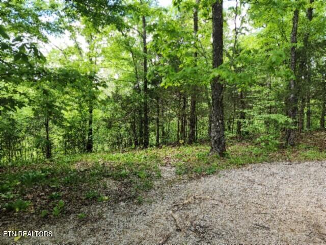 10.13AC Forest Trails Lane Celina TN 38551