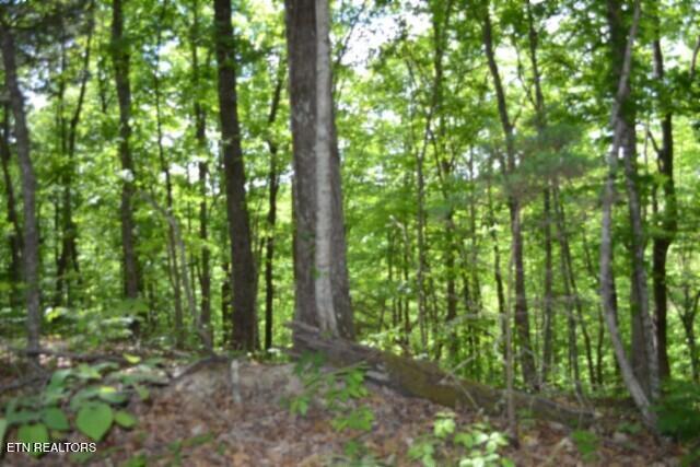 10.13AC Forest Trails Lane Celina TN 38551