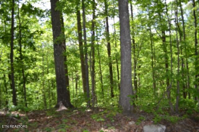 10.13AC Forest Trails Lane Celina TN 38551