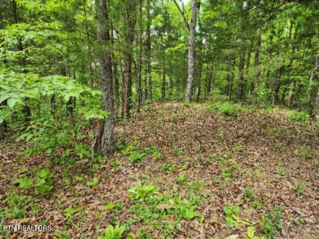 10.13AC Forest Trails Lane Celina TN 38551