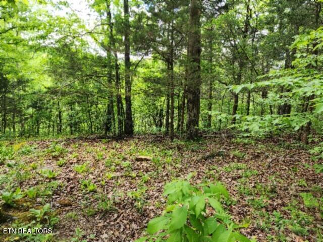 10.13AC Forest Trails Lane Celina TN 38551
