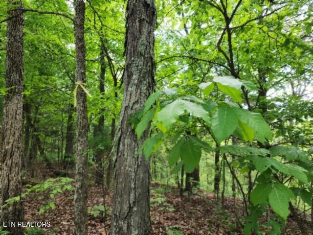 10.13AC Forest Trails Lane Celina TN 38551