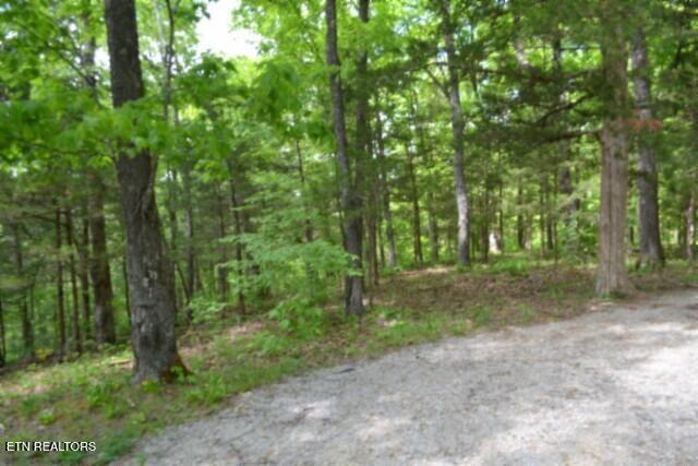 10.13AC Forest Trails Lane Celina TN 38551