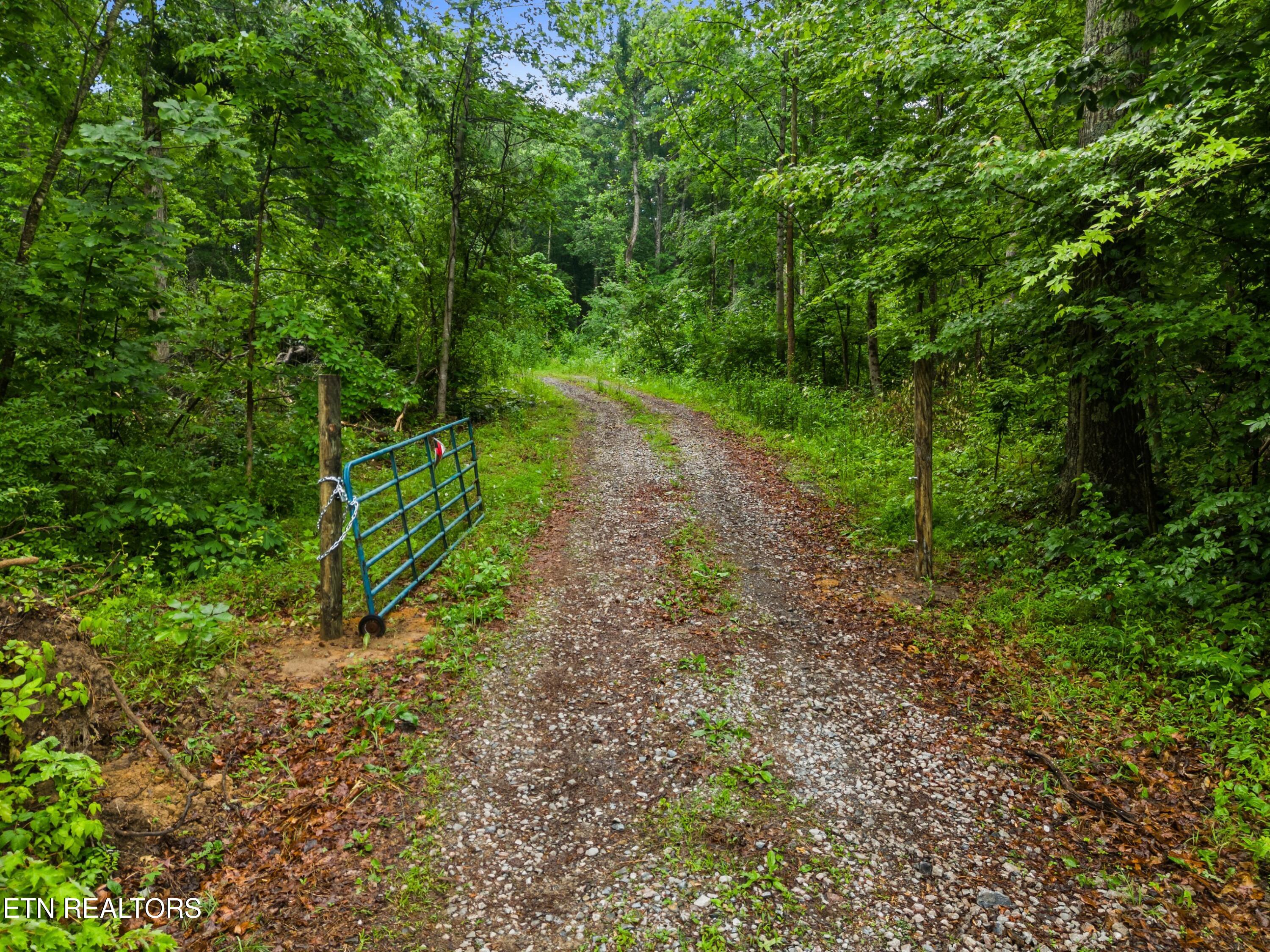 Parcel 16 Mill Springs Road New Market TN 37820