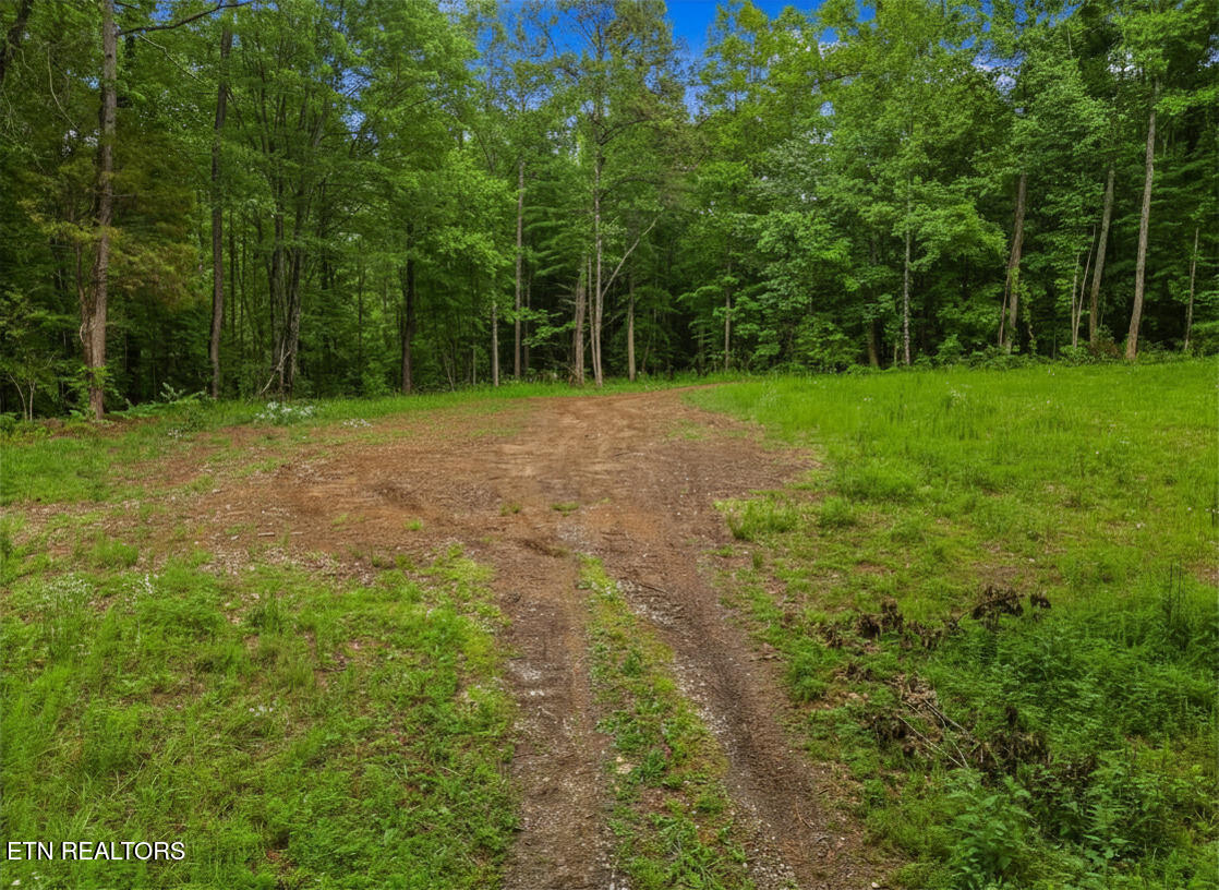 Parcel 16 Mill Springs Road New Market TN 37820