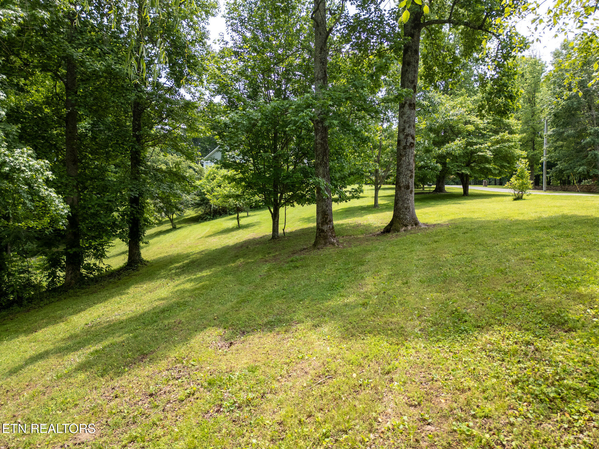 1 Lafever Ridge Road Silver Point TN 38582