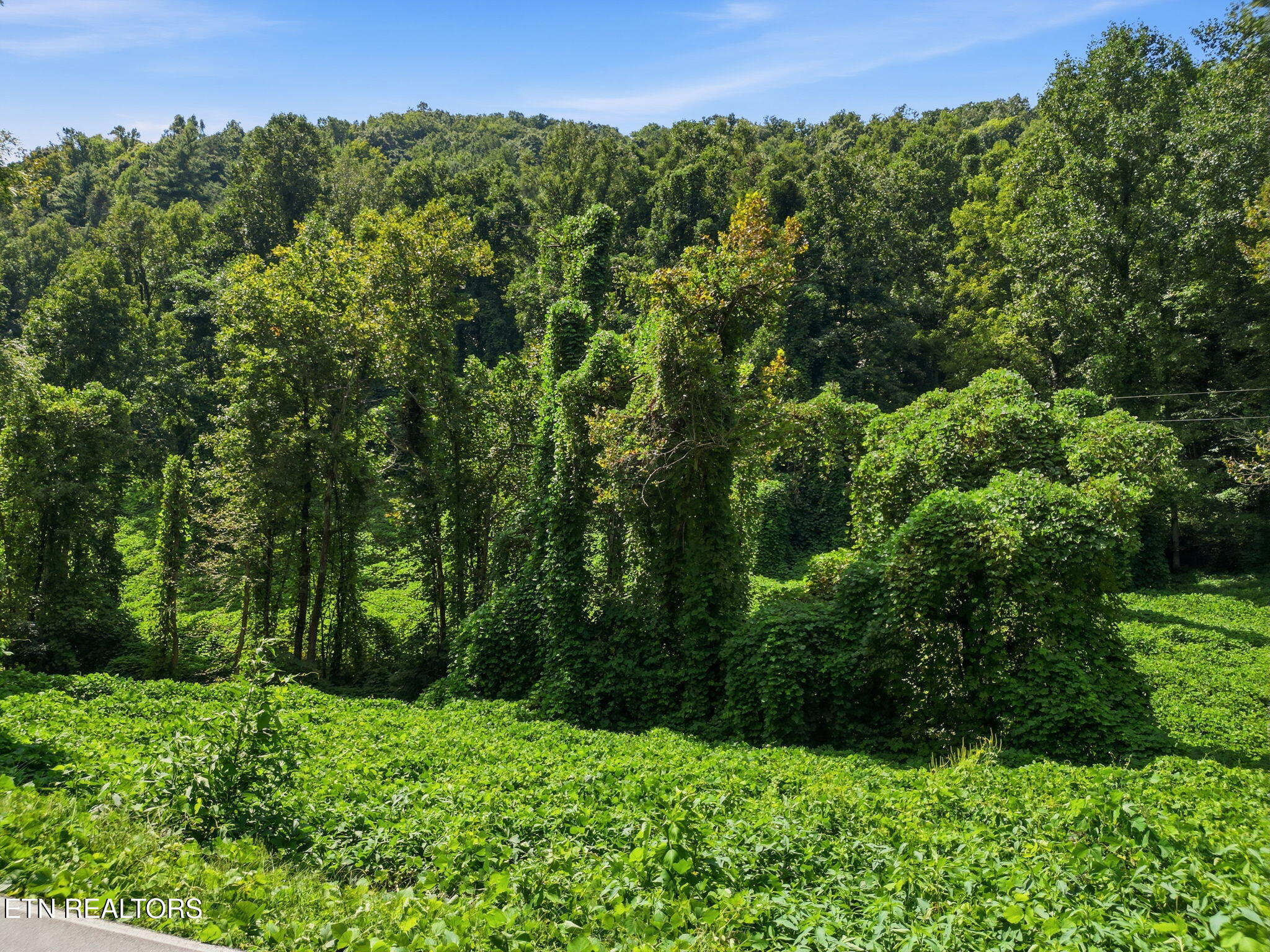 3910 Wilhite Road Sevierville TN 37876