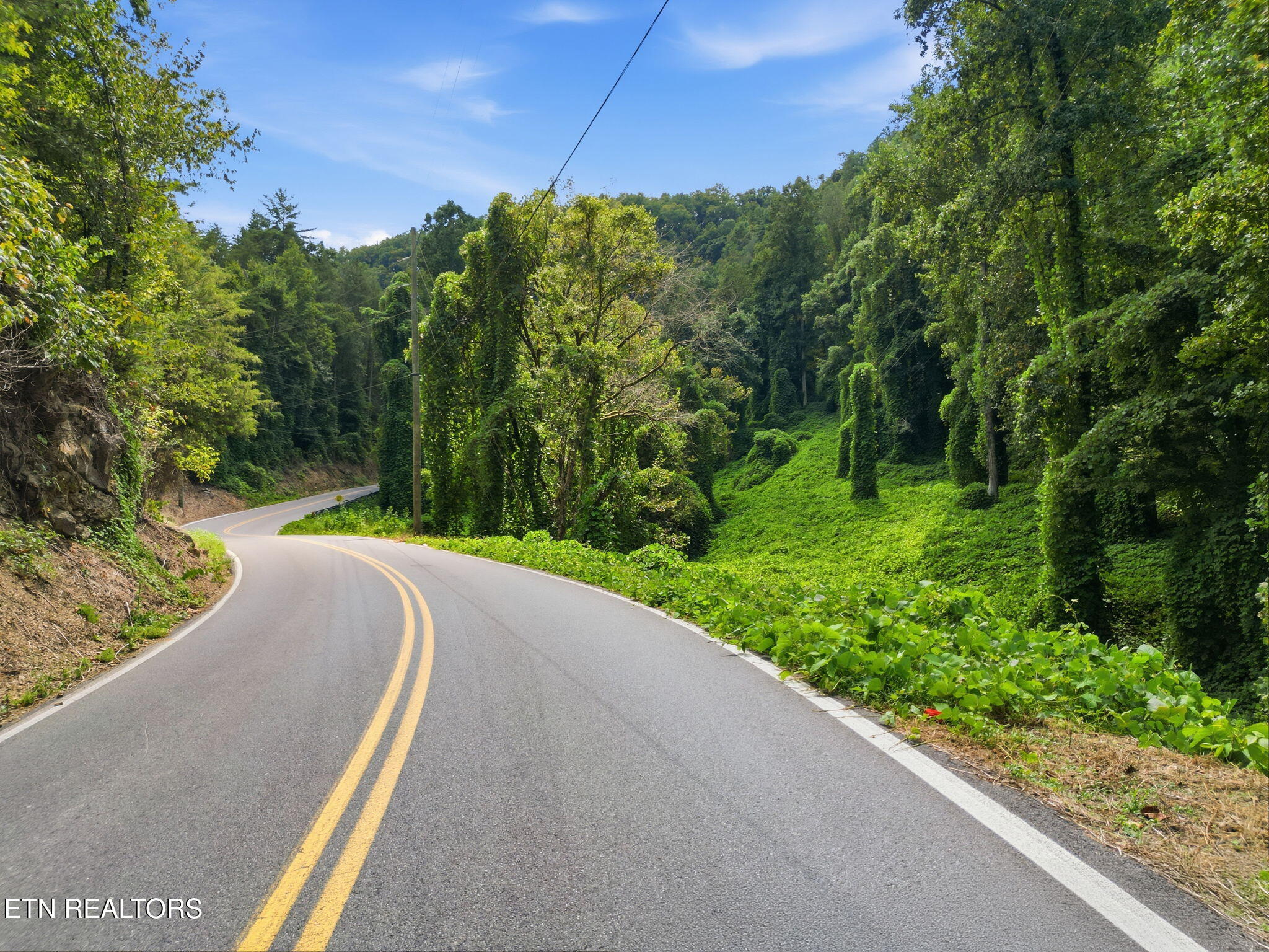 3910 Wilhite Road Sevierville TN 37876