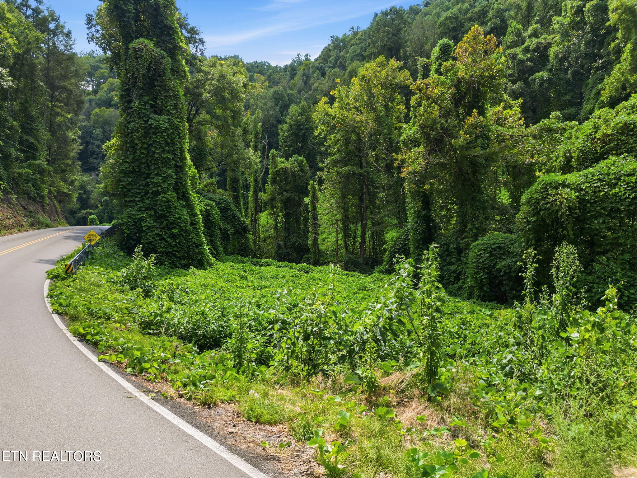 3910 Wilhite Road Sevierville TN 37876