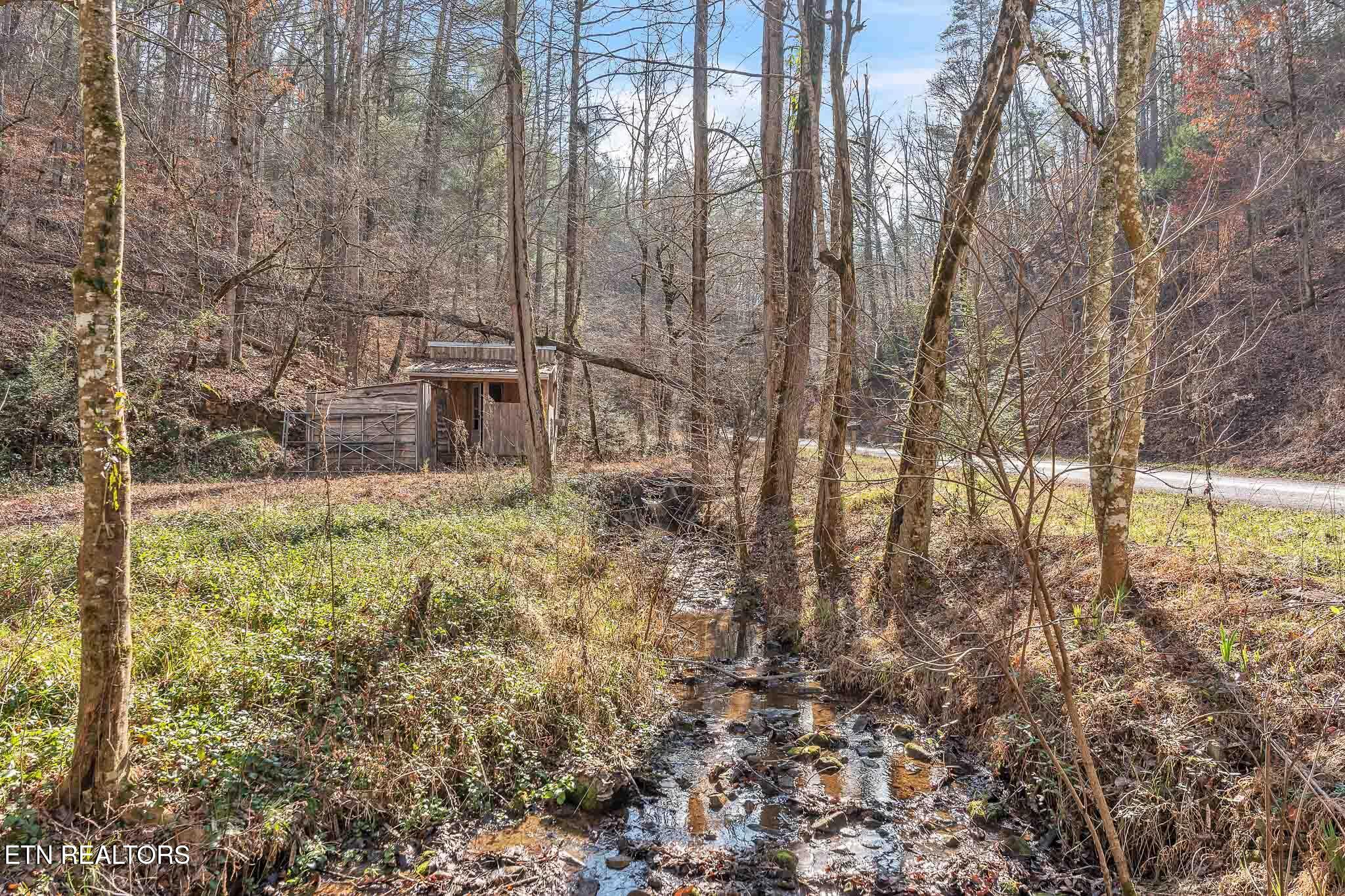 1559 Spring Creek Road Reliance TN 37369