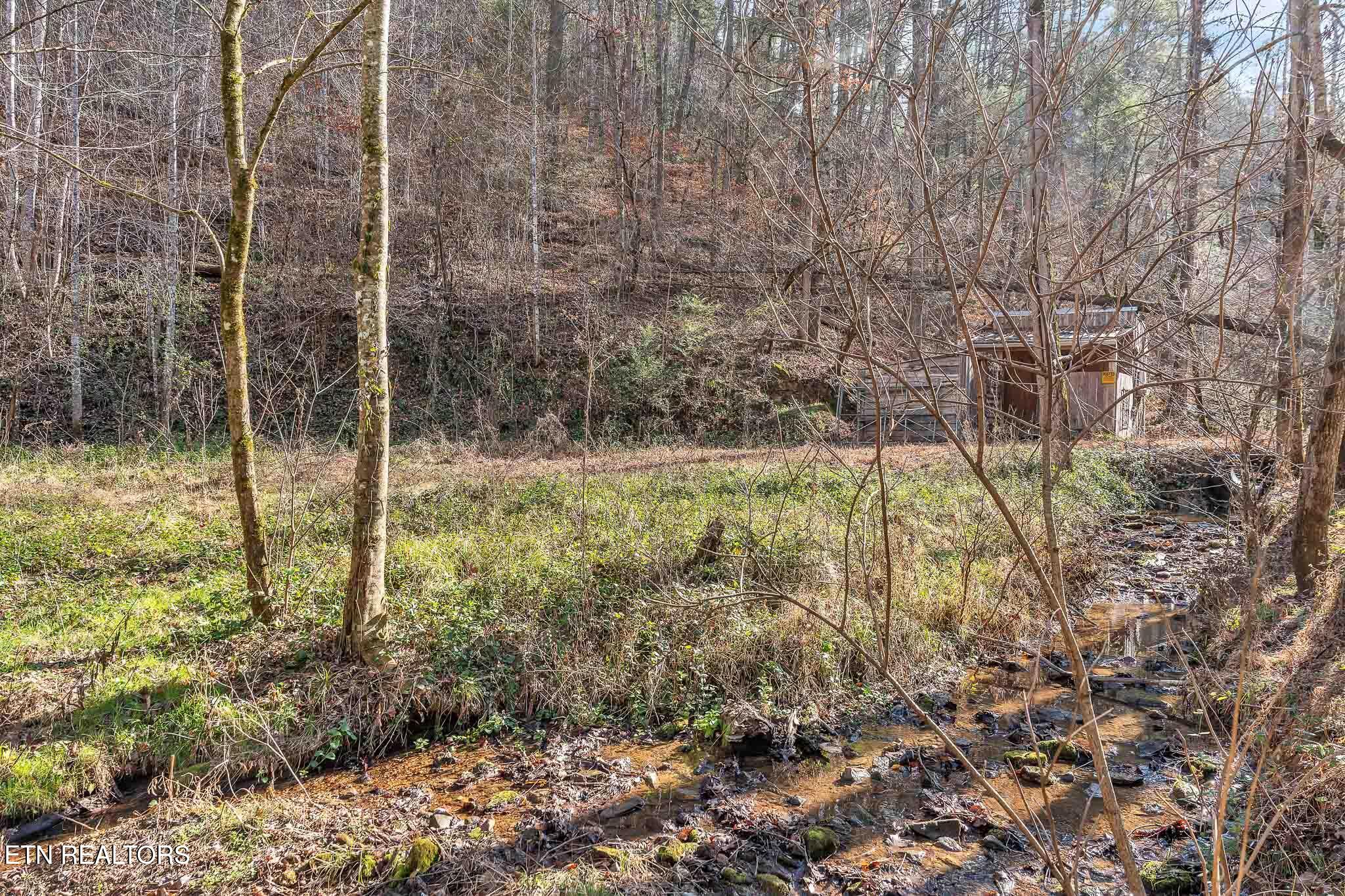 1559 Spring Creek Road Reliance TN 37369