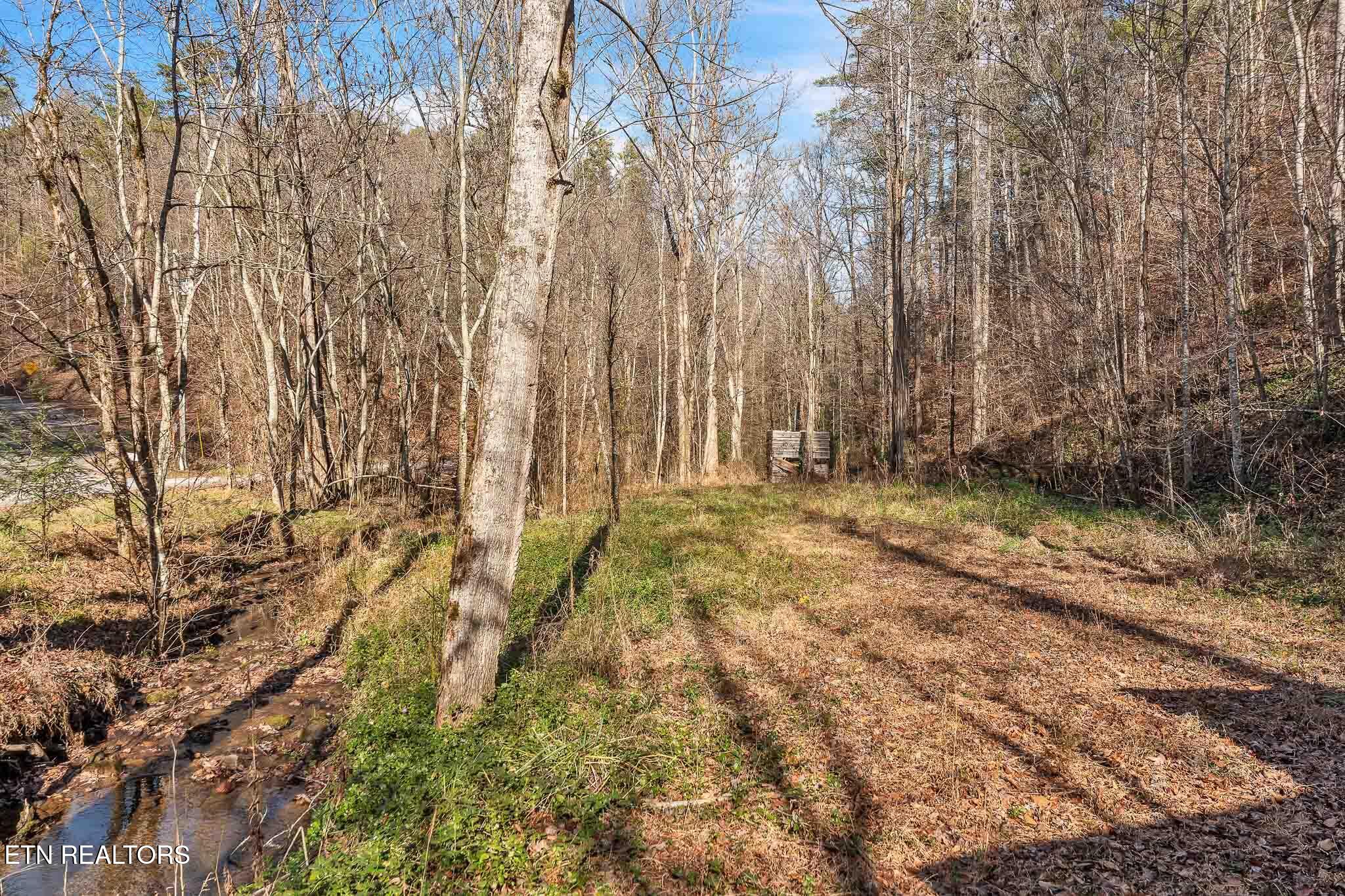 1559 Spring Creek Road Reliance TN 37369