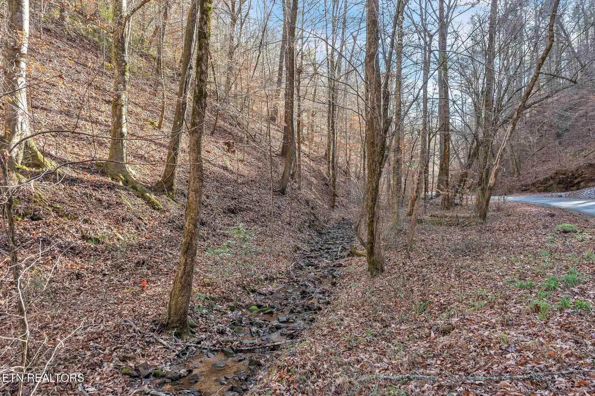 1559 Spring Creek Road Reliance TN 37369