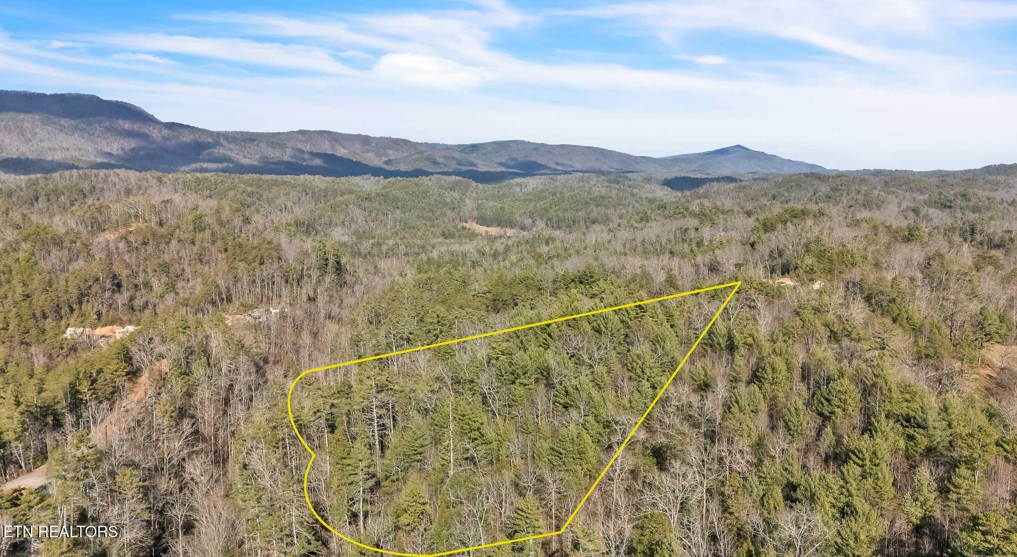 1559 Spring Creek Road Reliance TN 37369