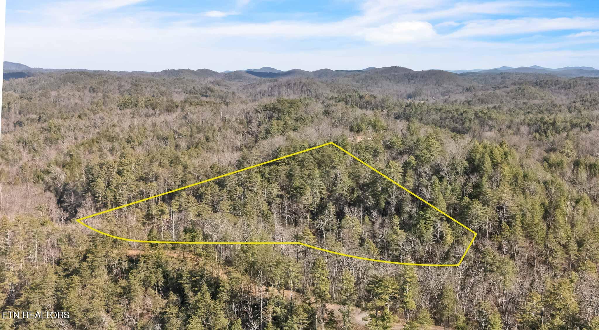 1559 Spring Creek Road Reliance TN 37369
