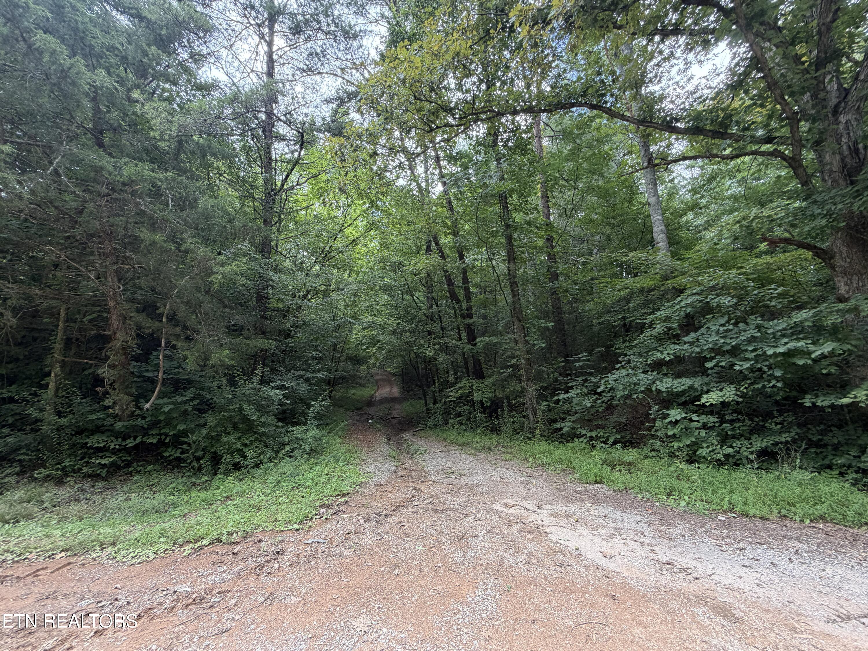 Lots 1-5 Forge Hideaway Road Pigeon Forge TN 37863
