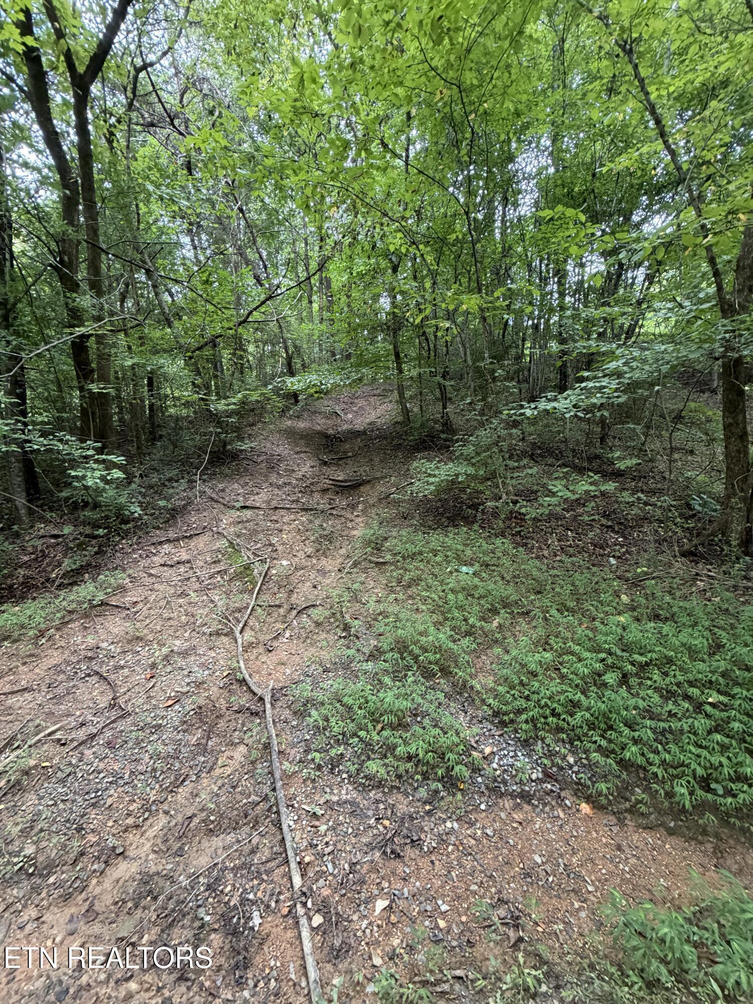 Lots 1-5 Forge Hideaway Road Pigeon Forge TN 37863