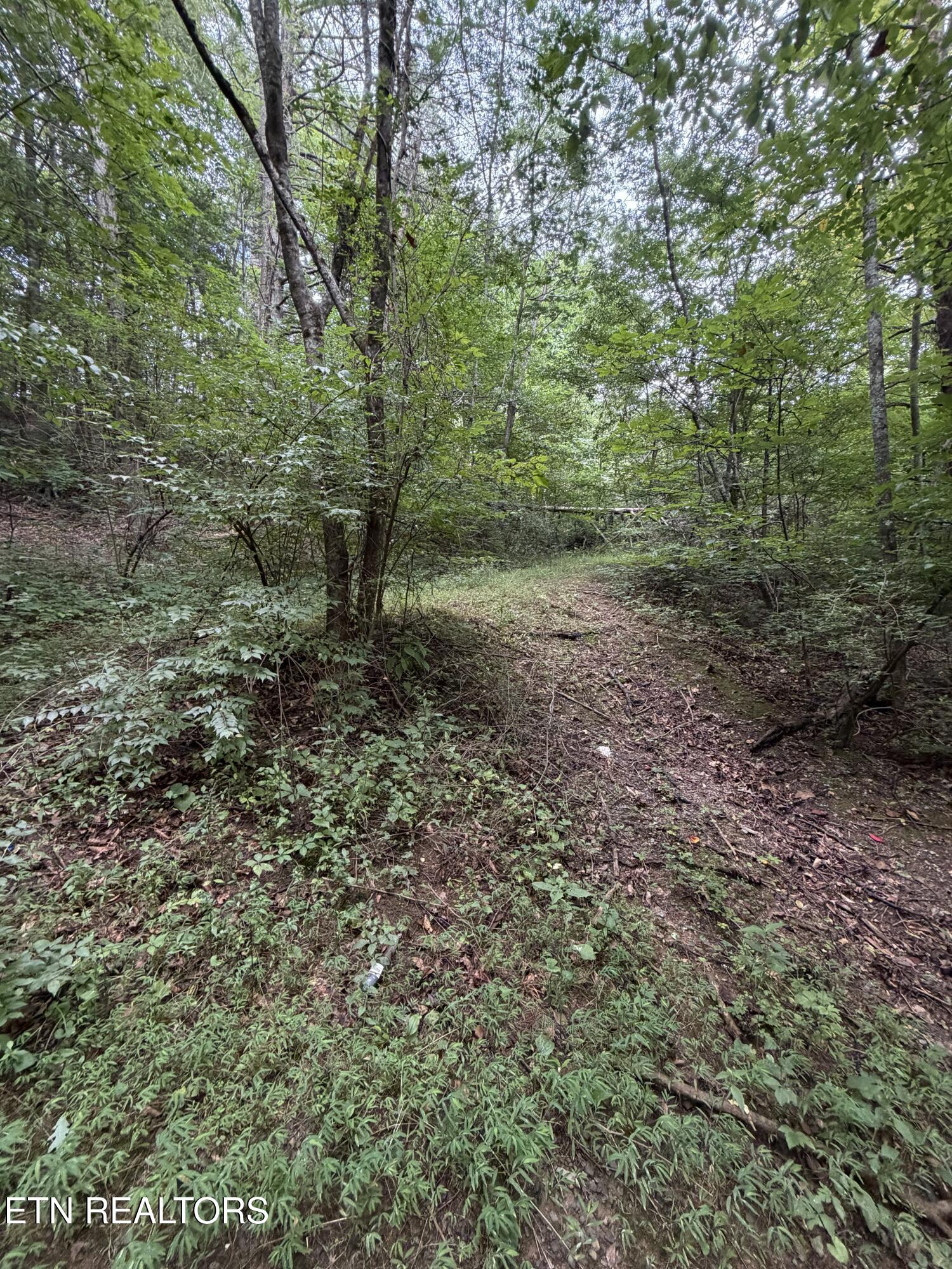 Lots 1-5 Forge Hideaway Road Pigeon Forge TN 37863