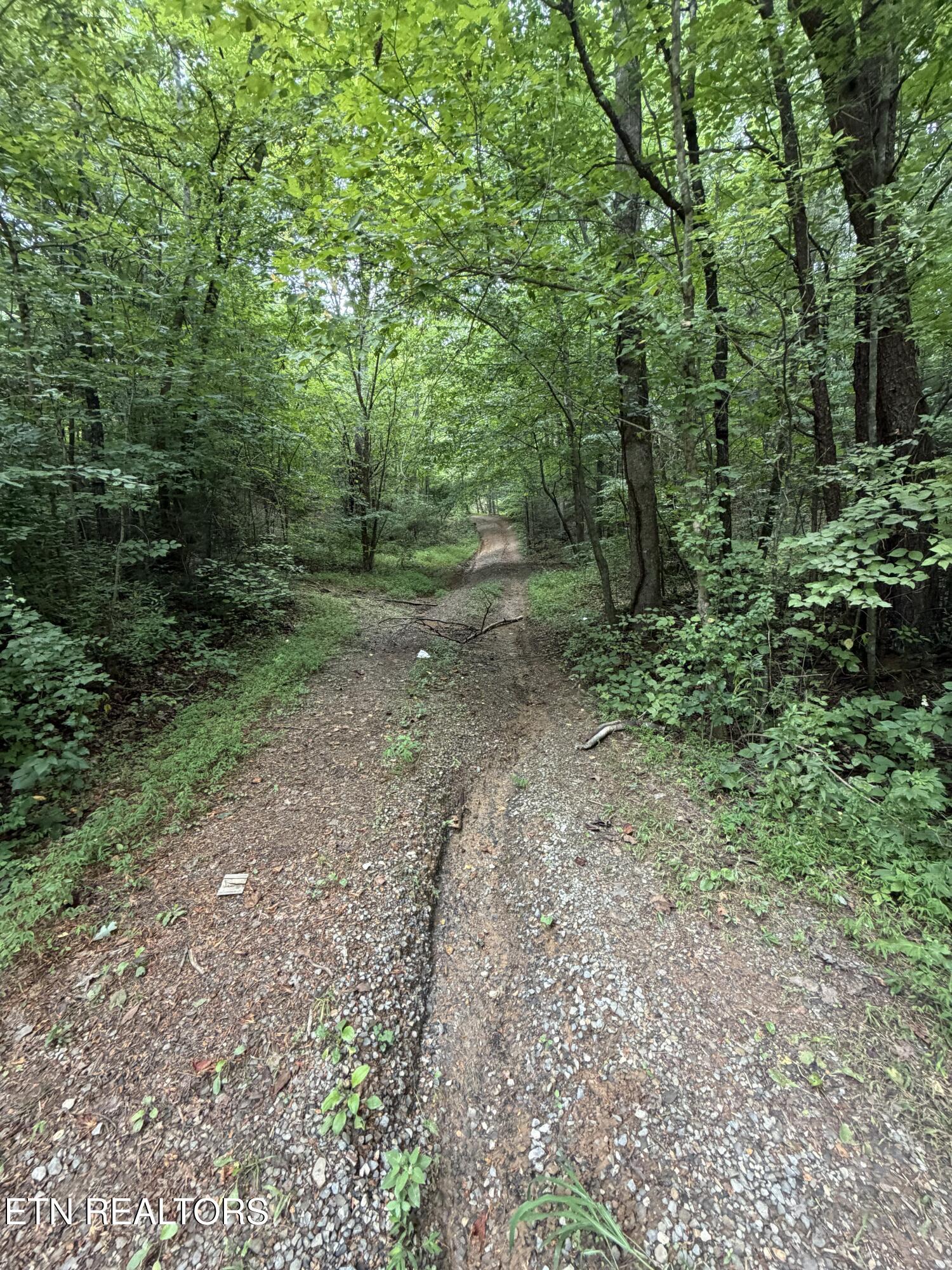 Lots 1-5 Forge Hideaway Road Pigeon Forge TN 37863
