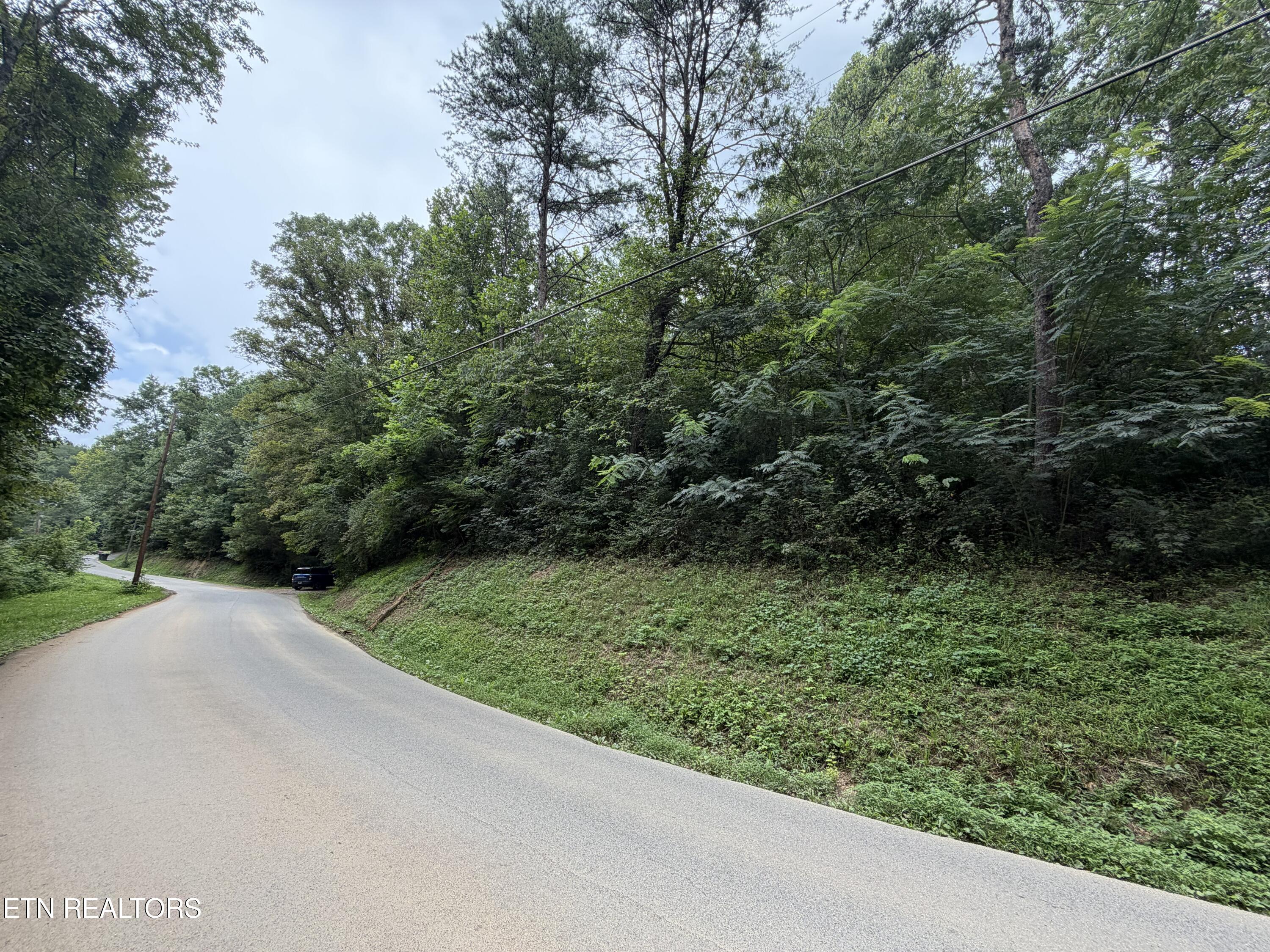 Lots 1-5 Forge Hideaway Road Pigeon Forge TN 37863