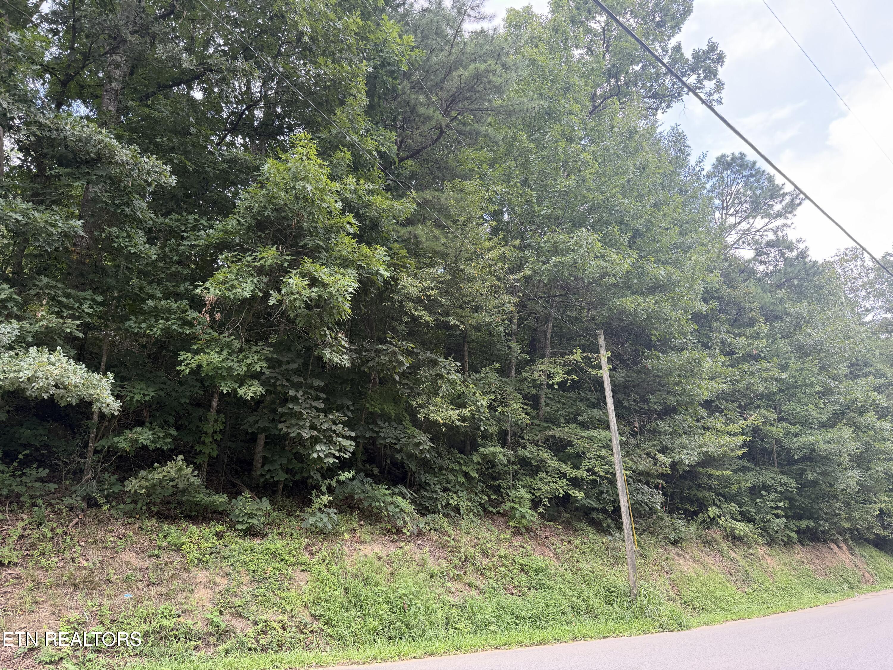 Lots 1-5 Forge Hideaway Road Pigeon Forge TN 37863