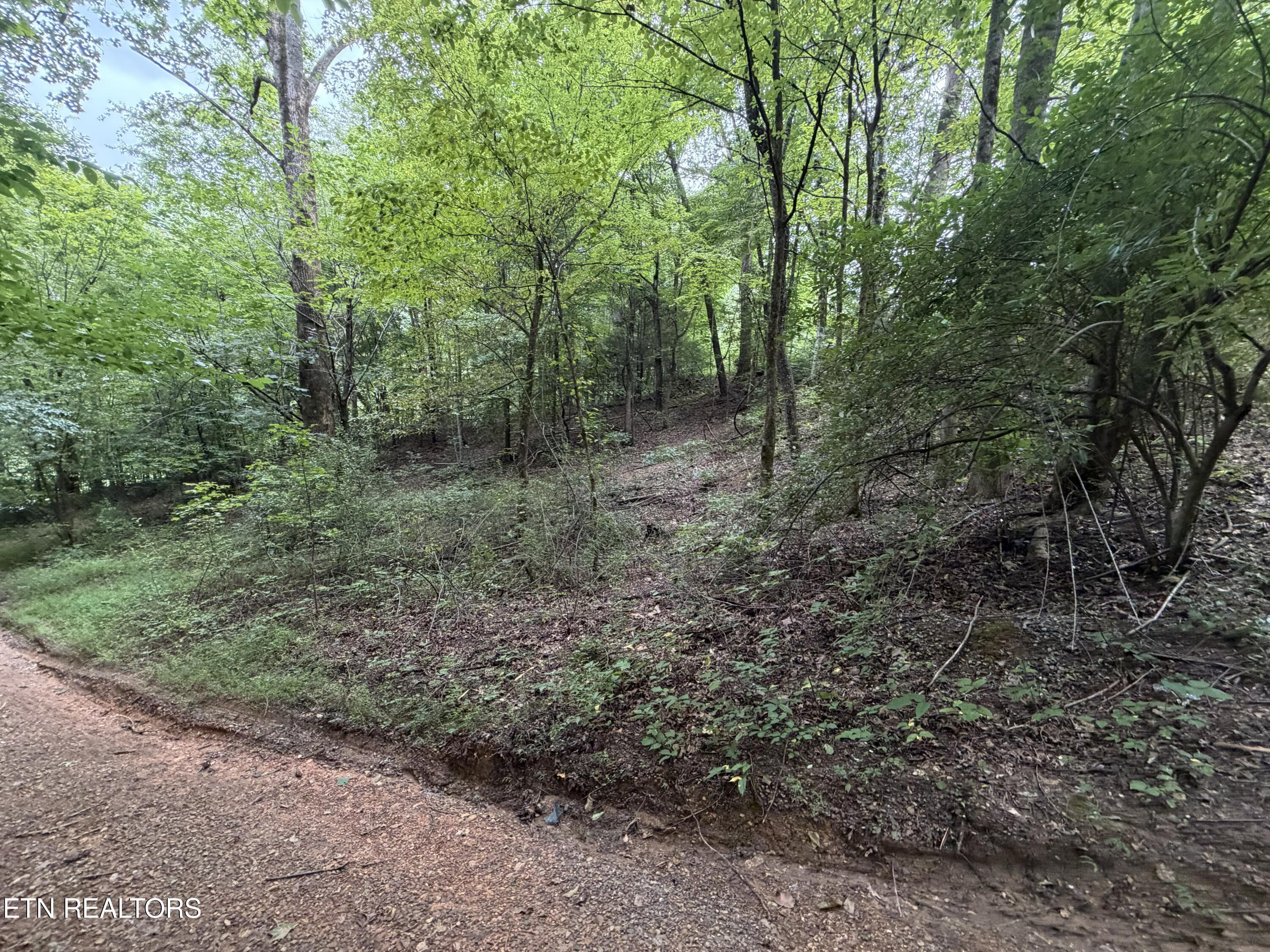 Lots 1-5 Forge Hideaway Road Pigeon Forge TN 37863