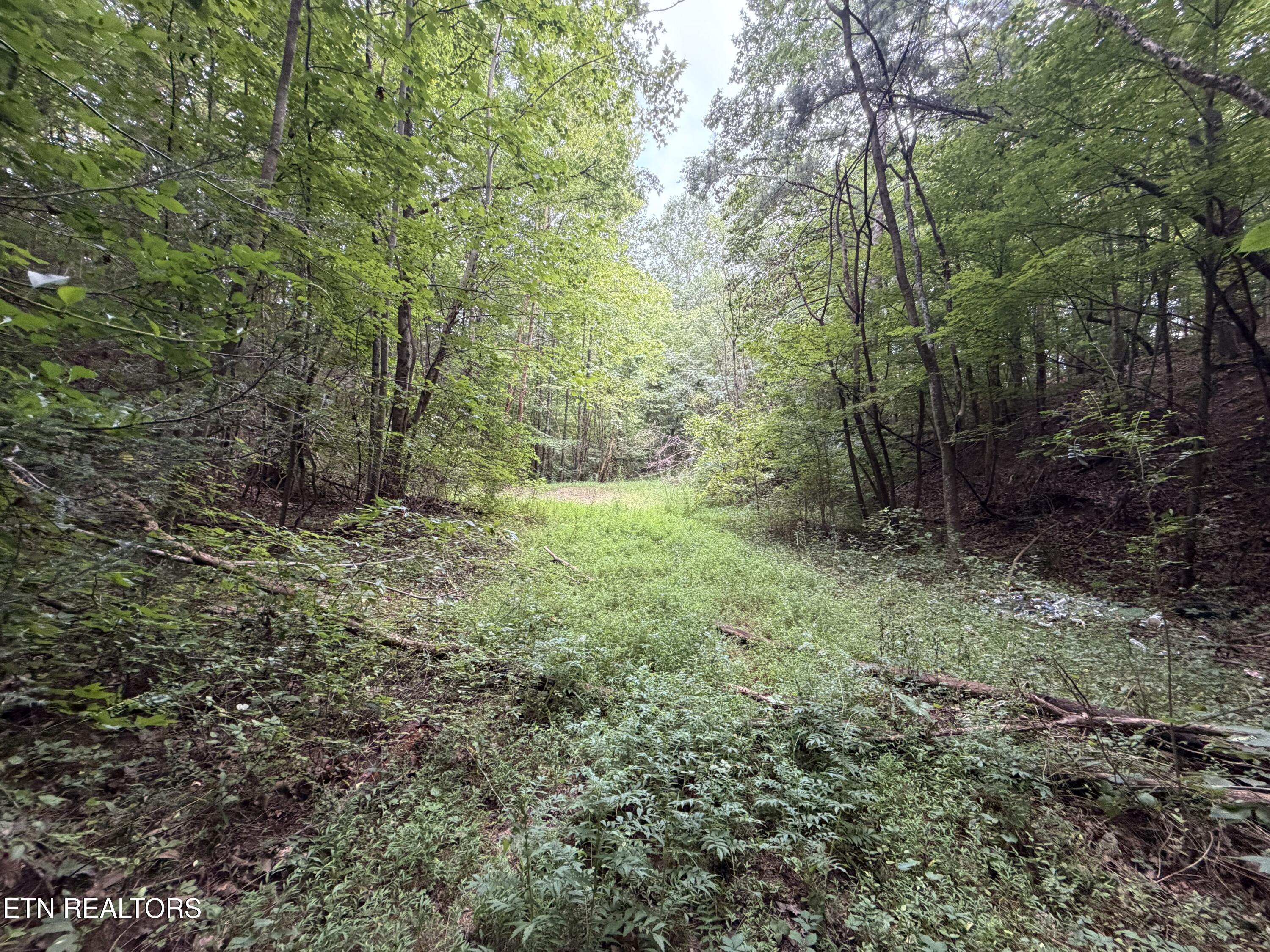 Lots 1-5 Forge Hideaway Road Pigeon Forge TN 37863