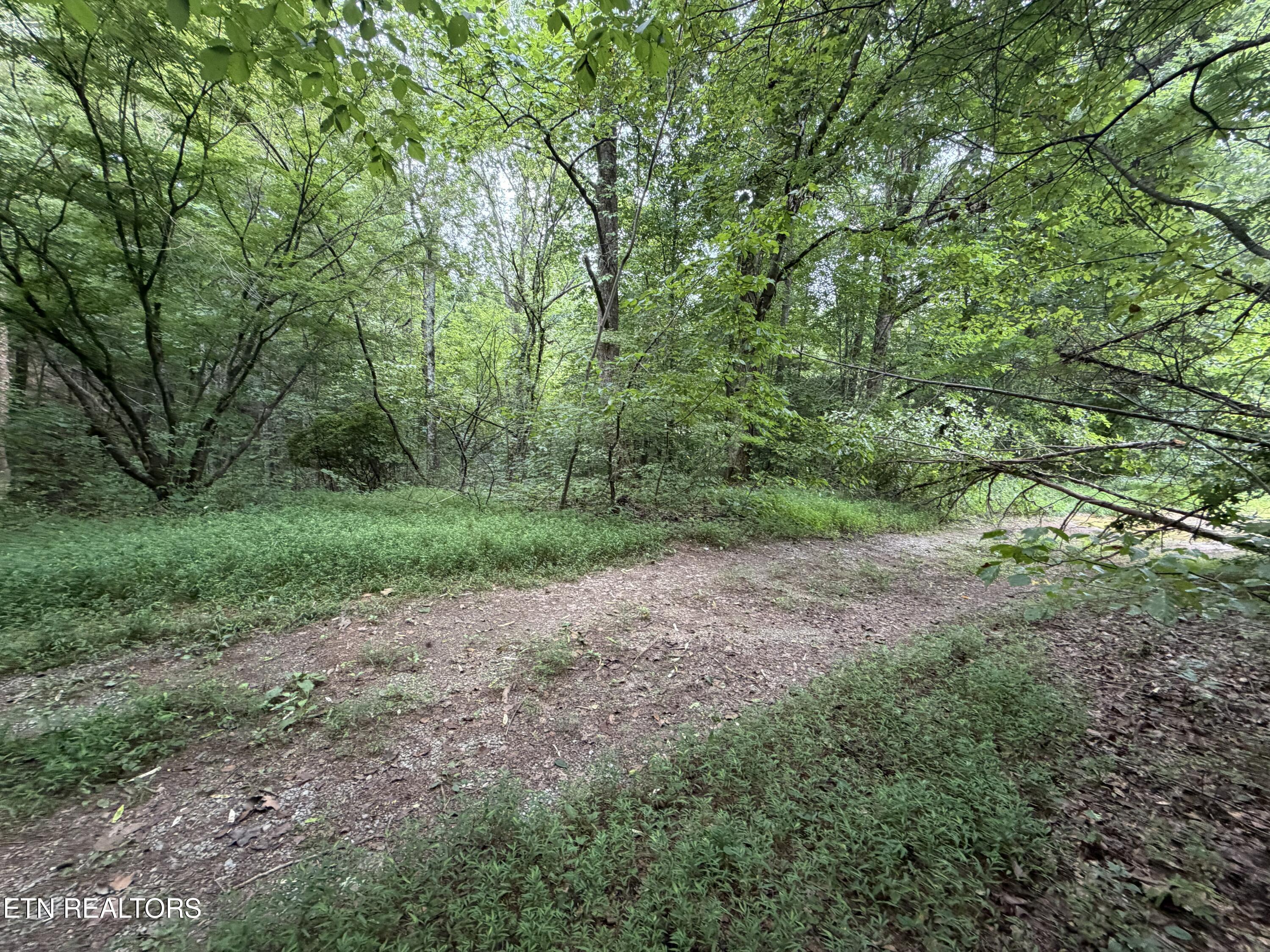 Lots 1-5 Forge Hideaway Road Pigeon Forge TN 37863