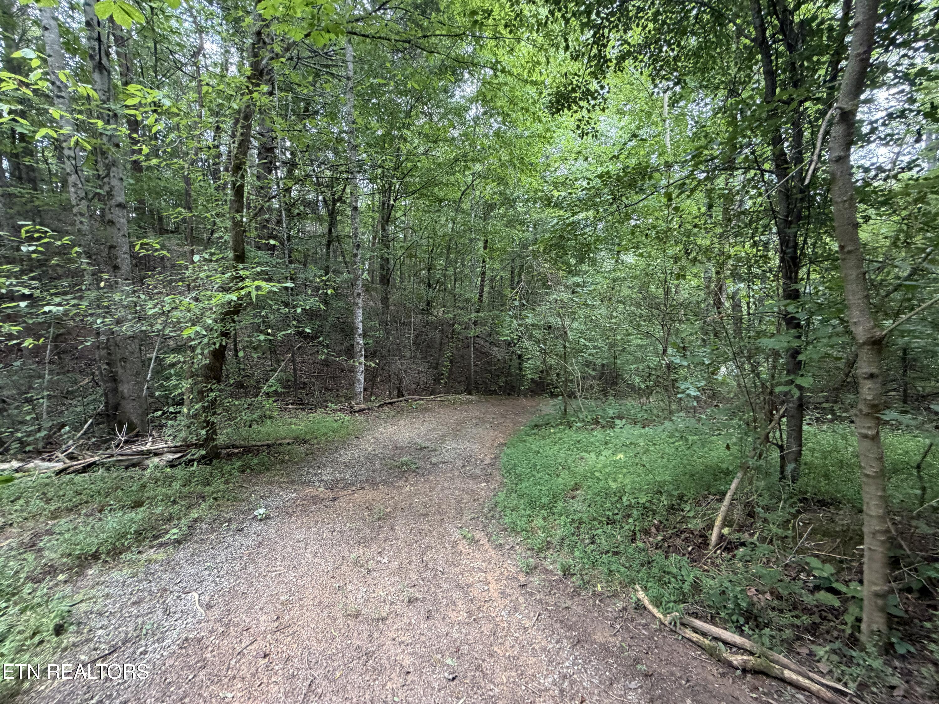 Lots 1-5 Forge Hideaway Road Pigeon Forge TN 37863