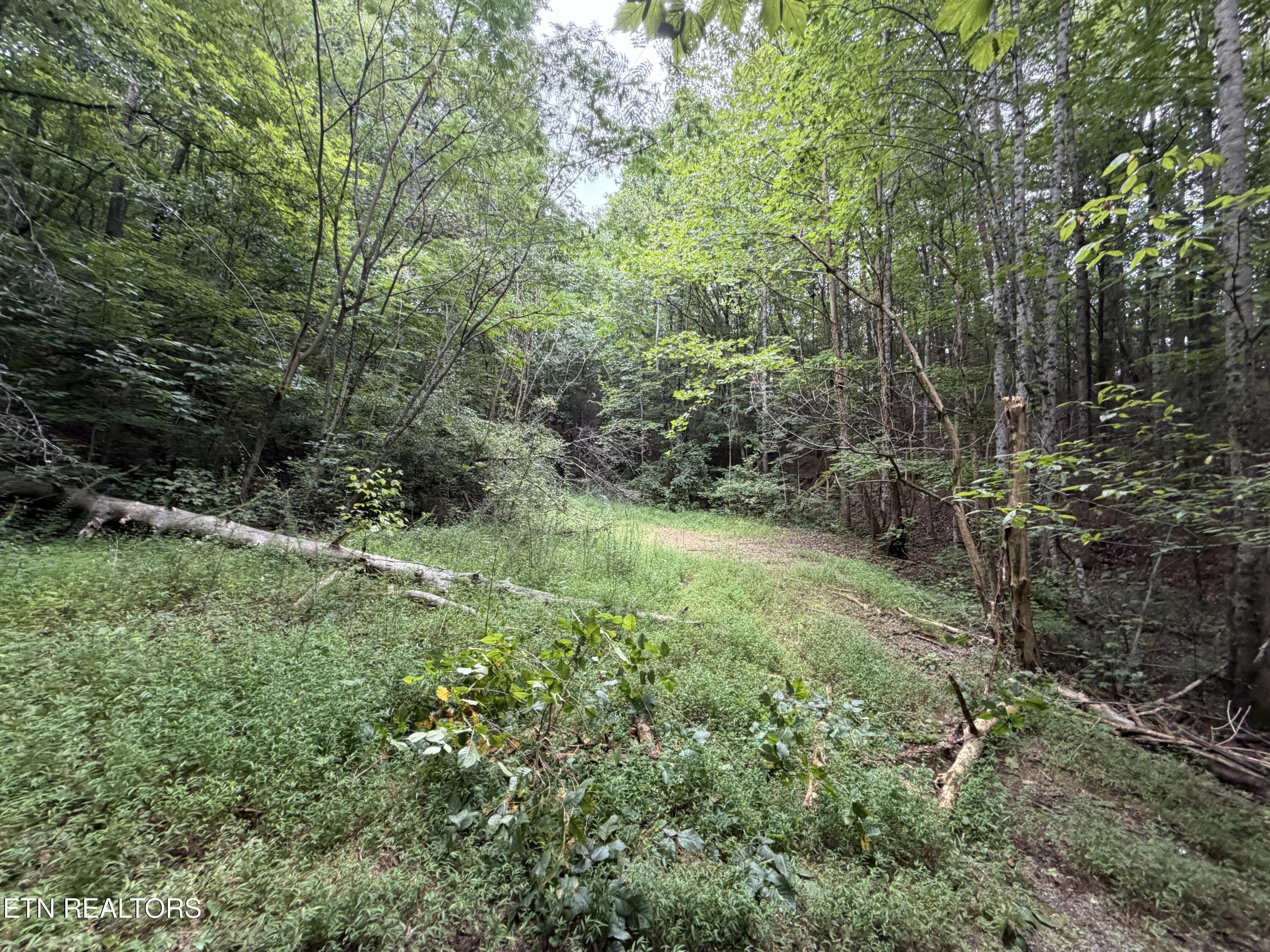 Lots 1-5 Forge Hideaway Road Pigeon Forge TN 37863