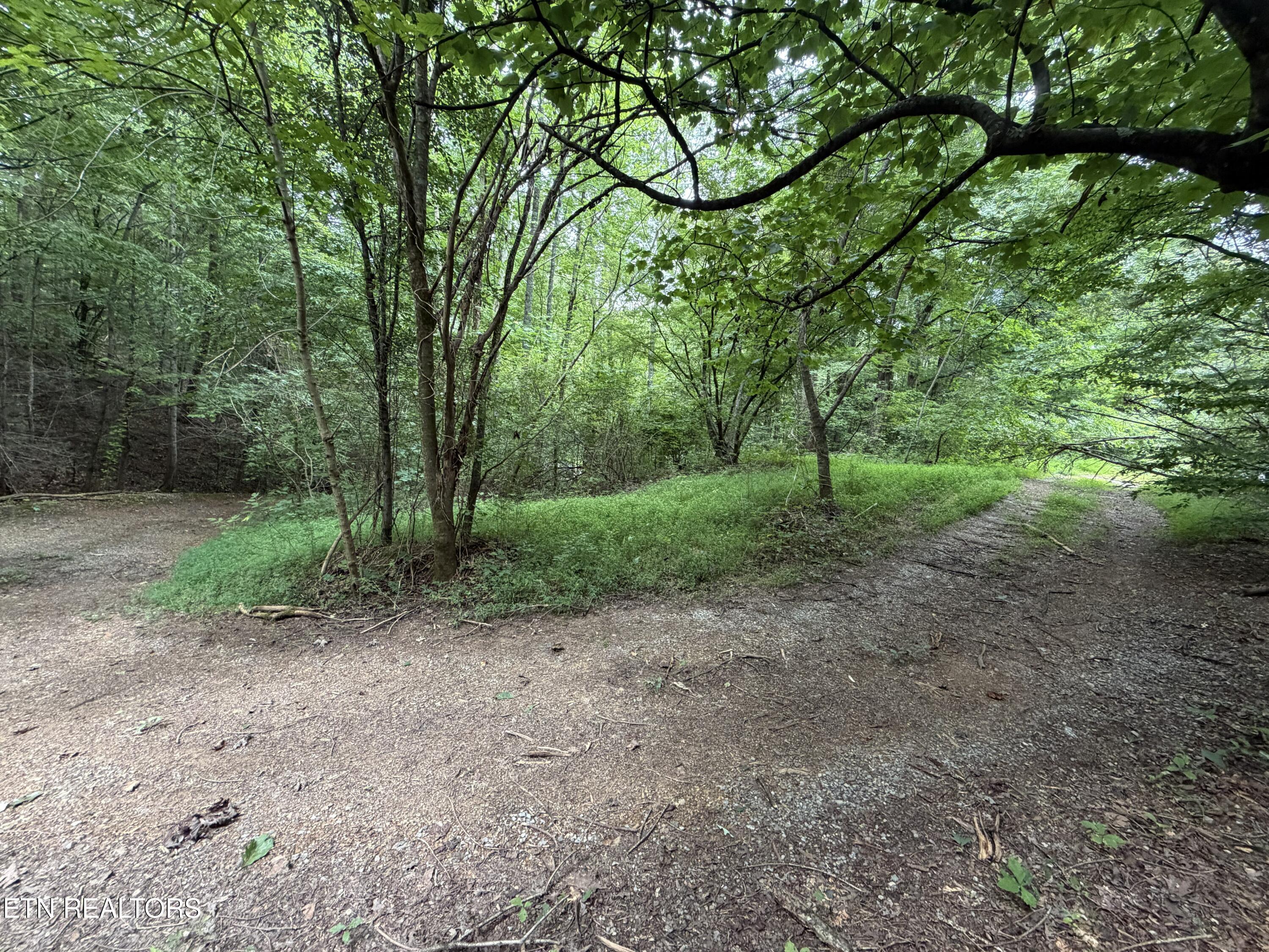 Lots 1-5 Forge Hideaway Road Pigeon Forge TN 37863