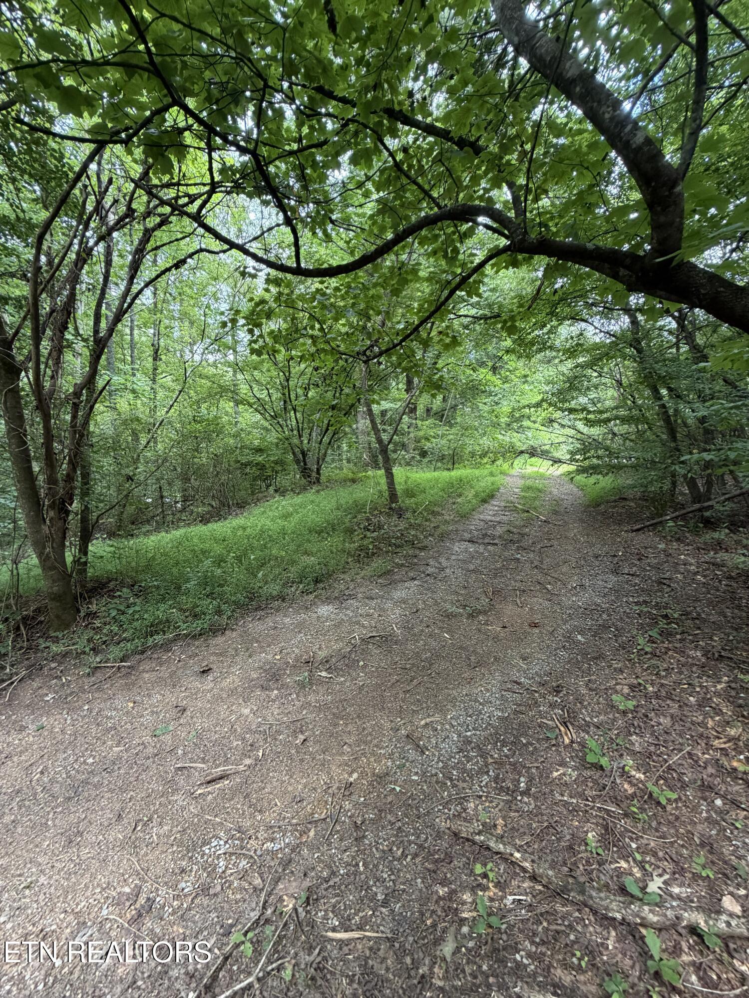 Lots 1-5 Forge Hideaway Road Pigeon Forge TN 37863