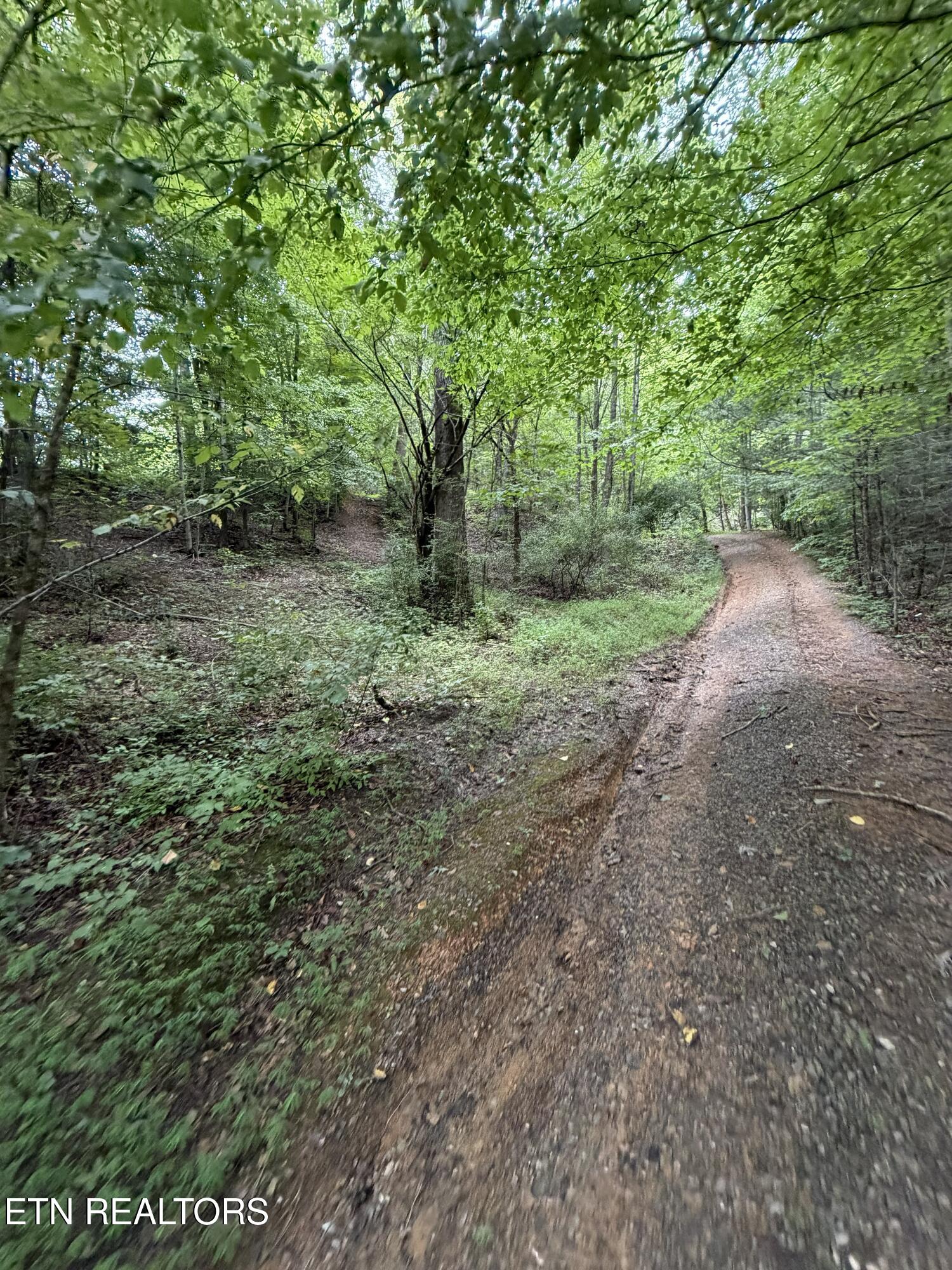 Lots 1-5 Forge Hideaway Road Pigeon Forge TN 37863