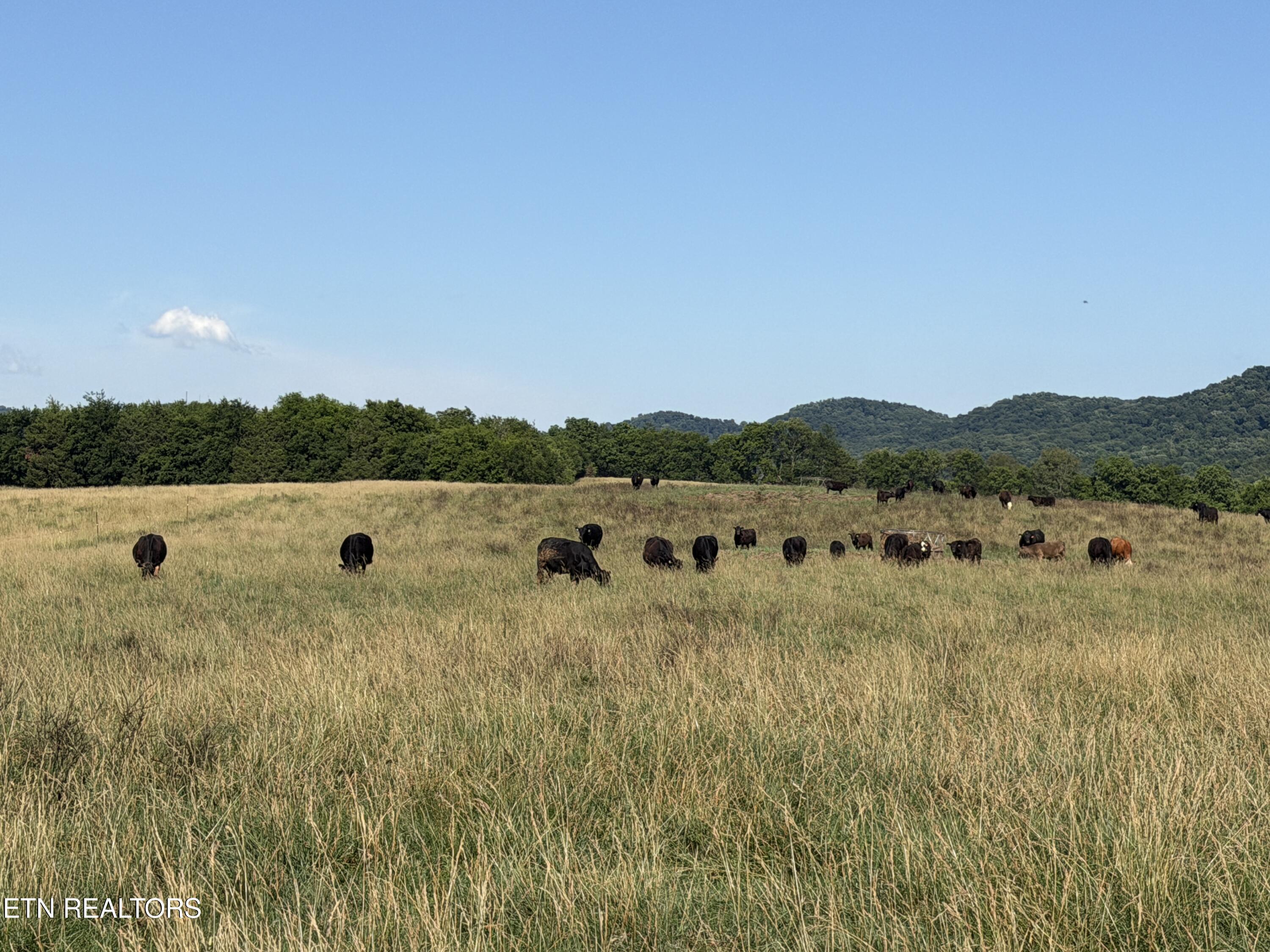 1494 Rocky Valley Road New Market TN 37820