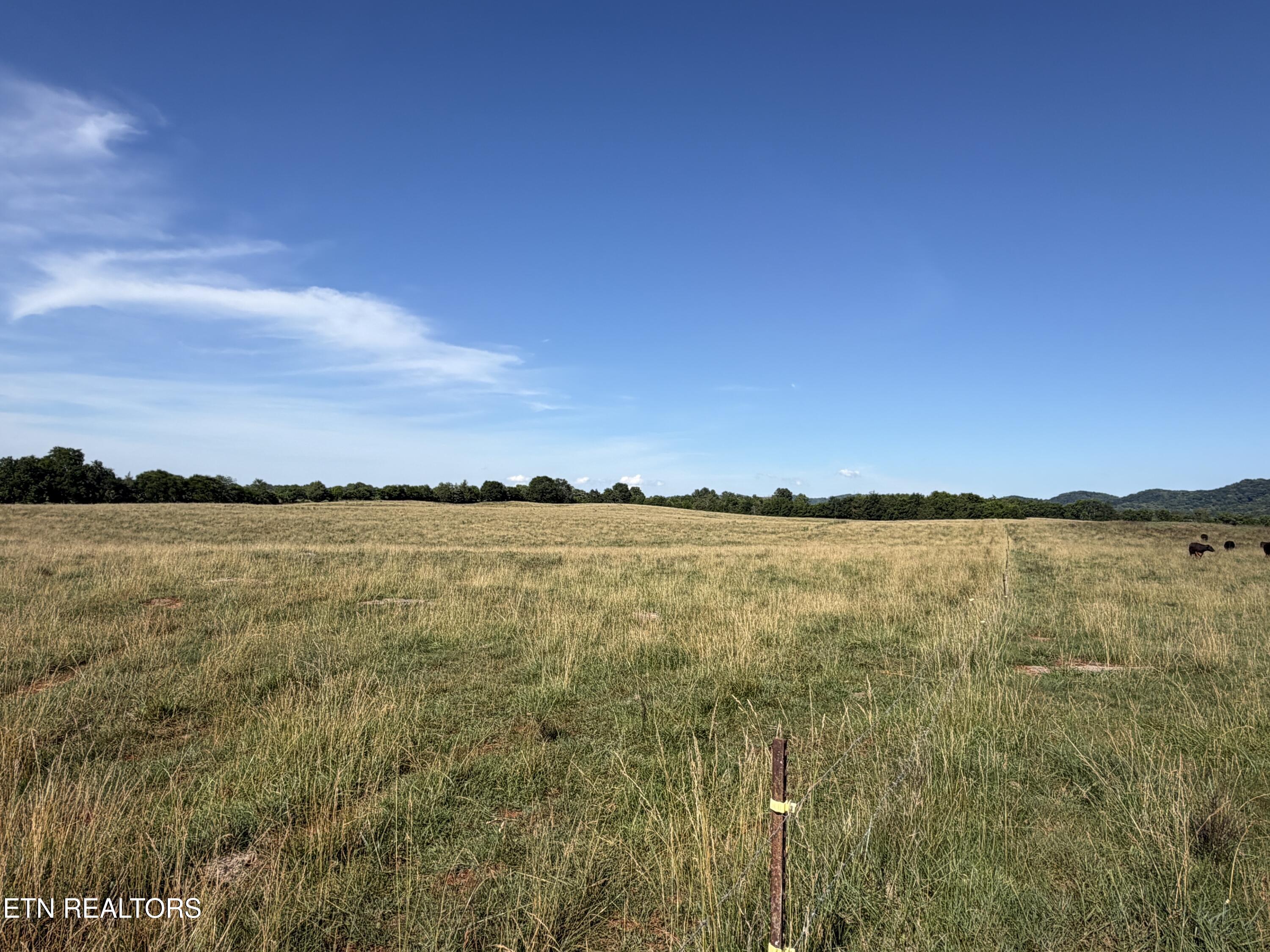 1494 Rocky Valley Road New Market TN 37820