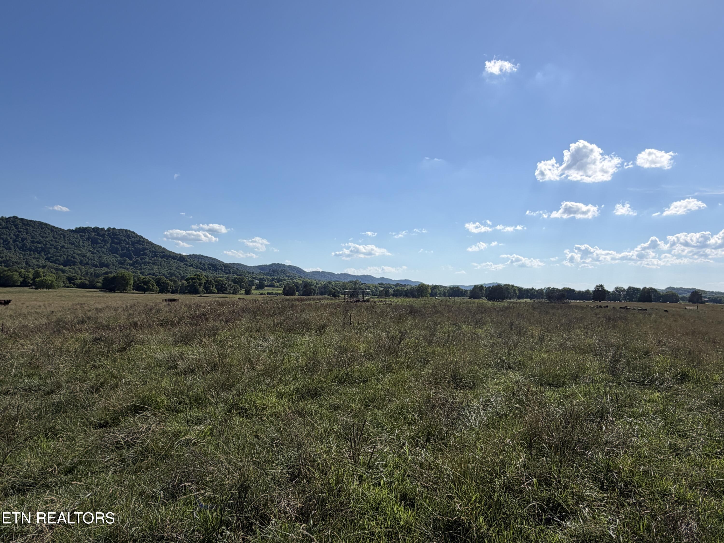 1494 Rocky Valley Road New Market TN 37820