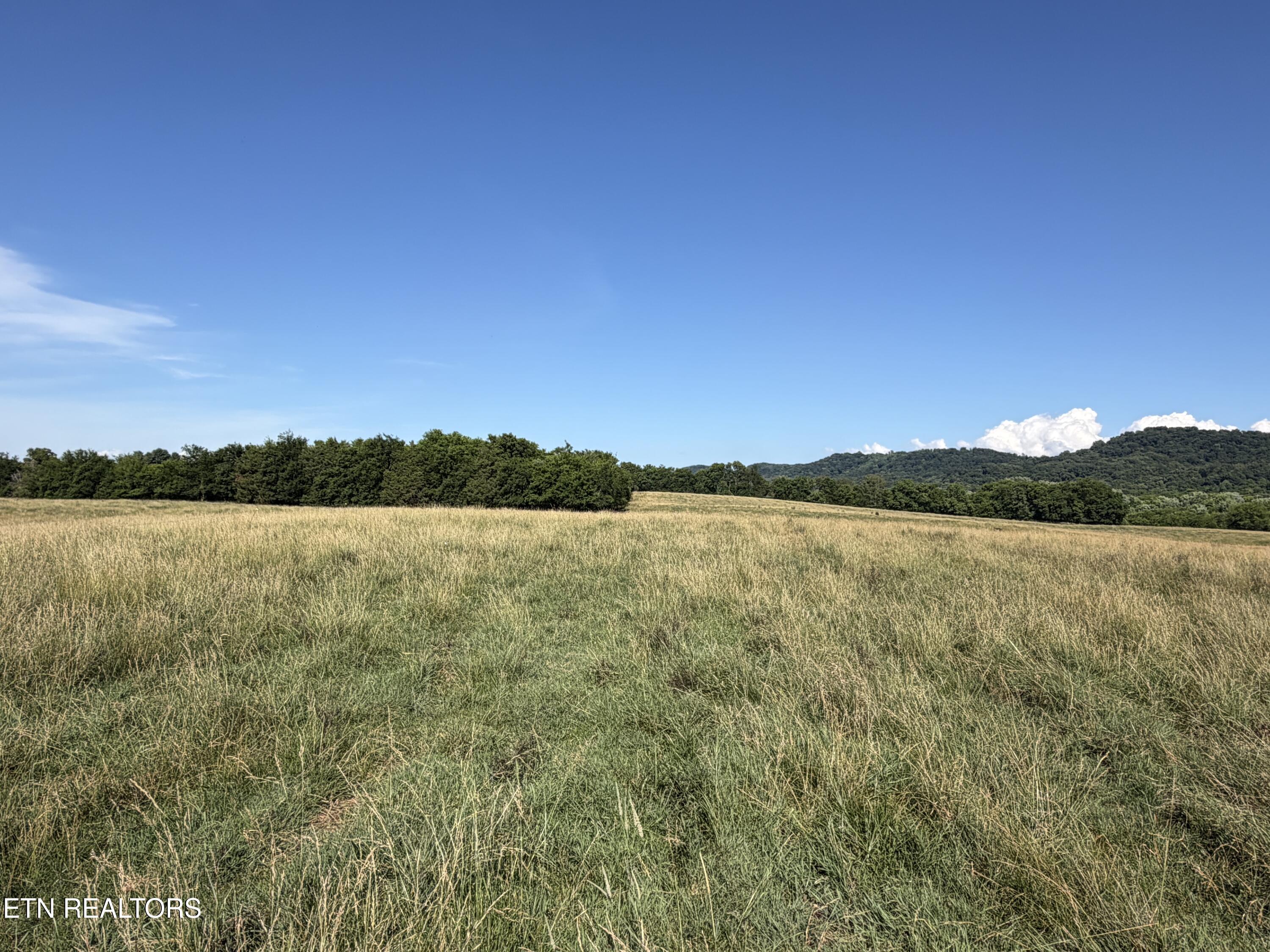 1494 Rocky Valley Road New Market TN 37820