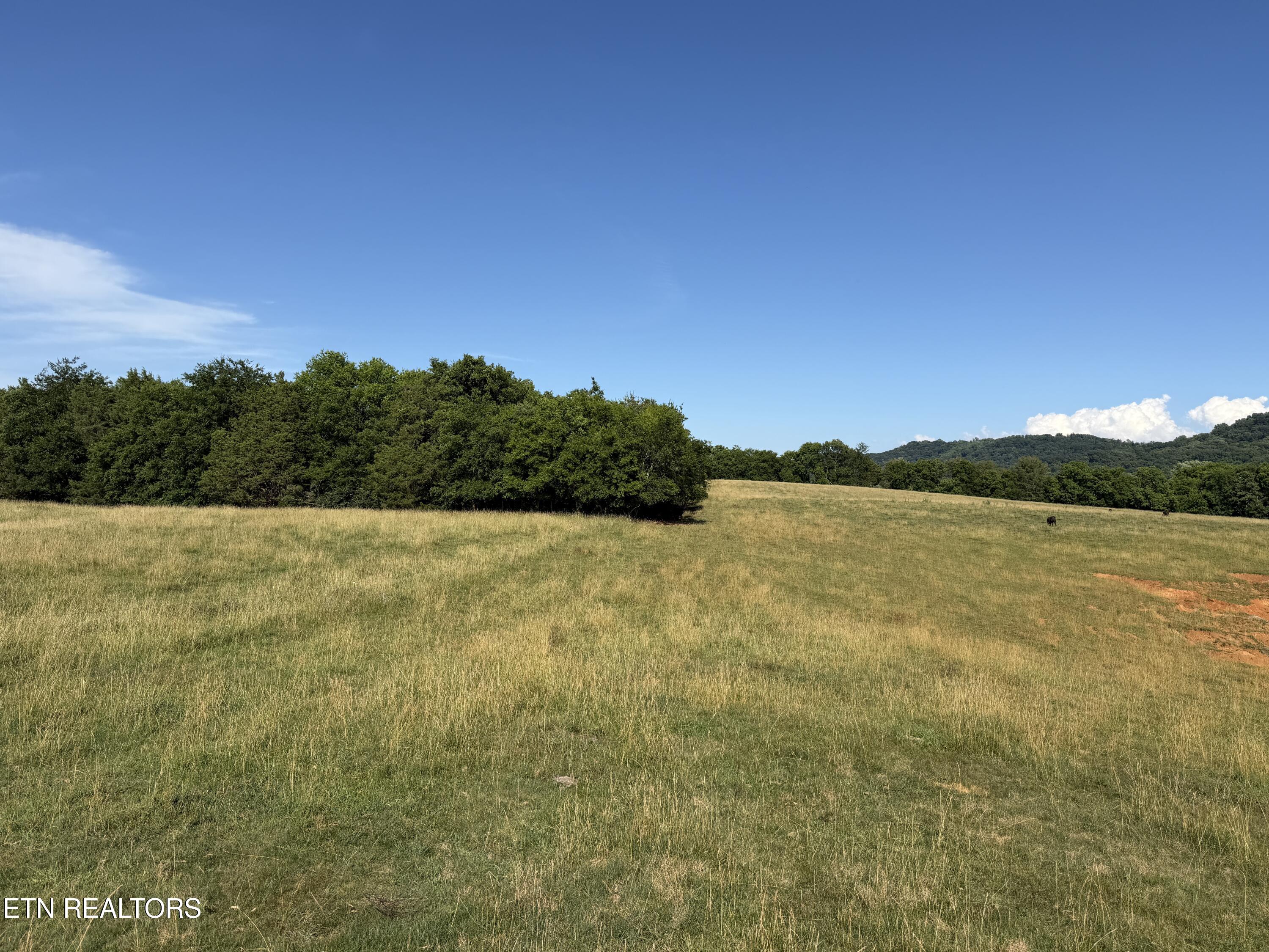 1494 Rocky Valley Road New Market TN 37820