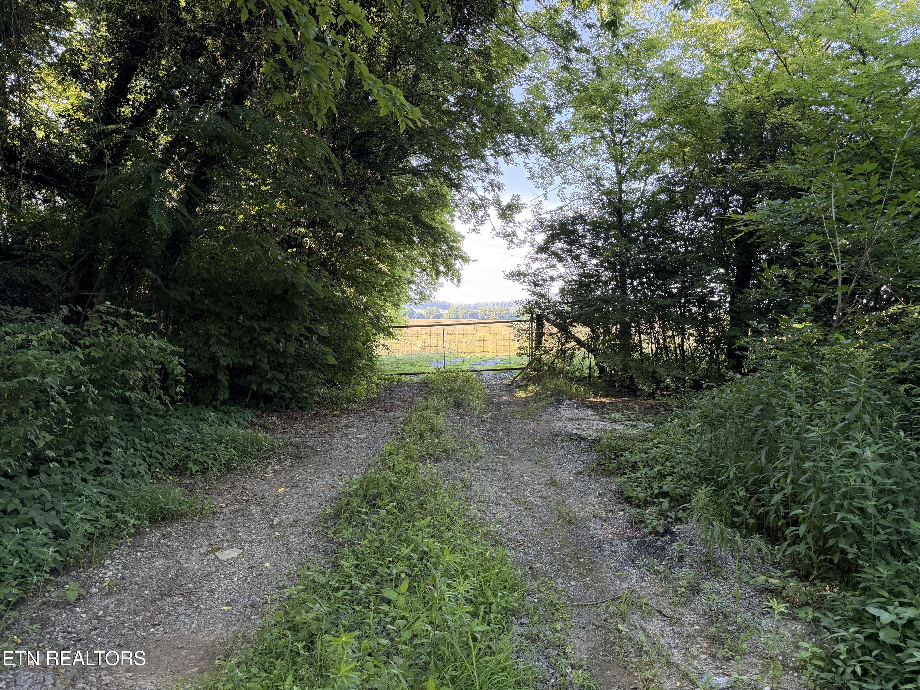 1494 Rocky Valley Road New Market TN 37820