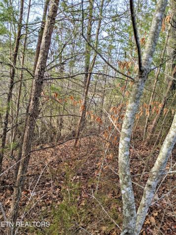 6220-6224 Outlook Trail Russellville TN 37860