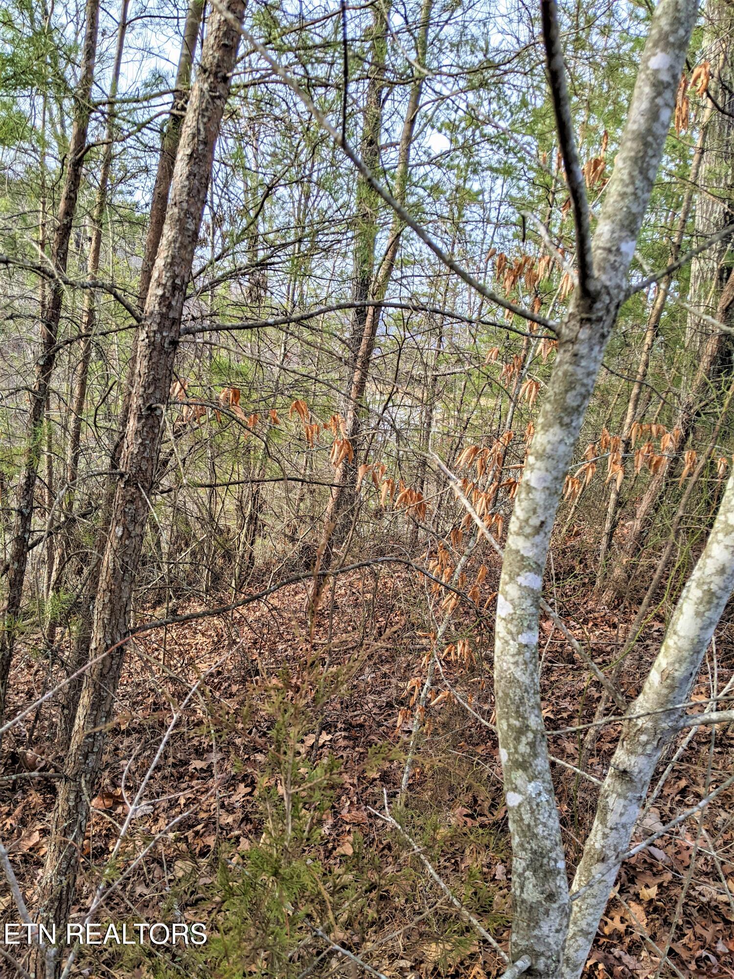 6220-6224 Outlook Trail Russellville TN 37860