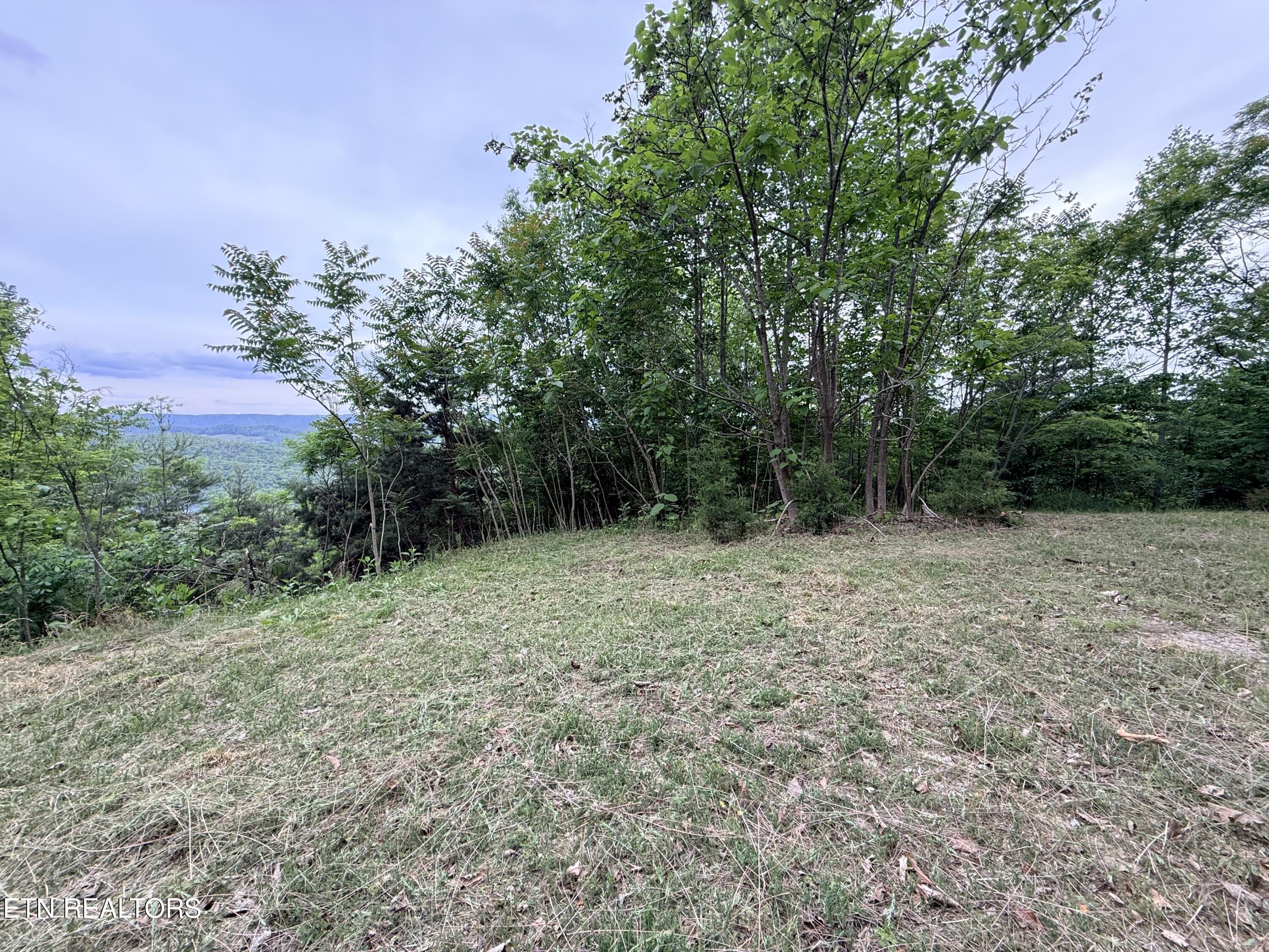 211 Blackstone Lane New Tazewell TN 37825