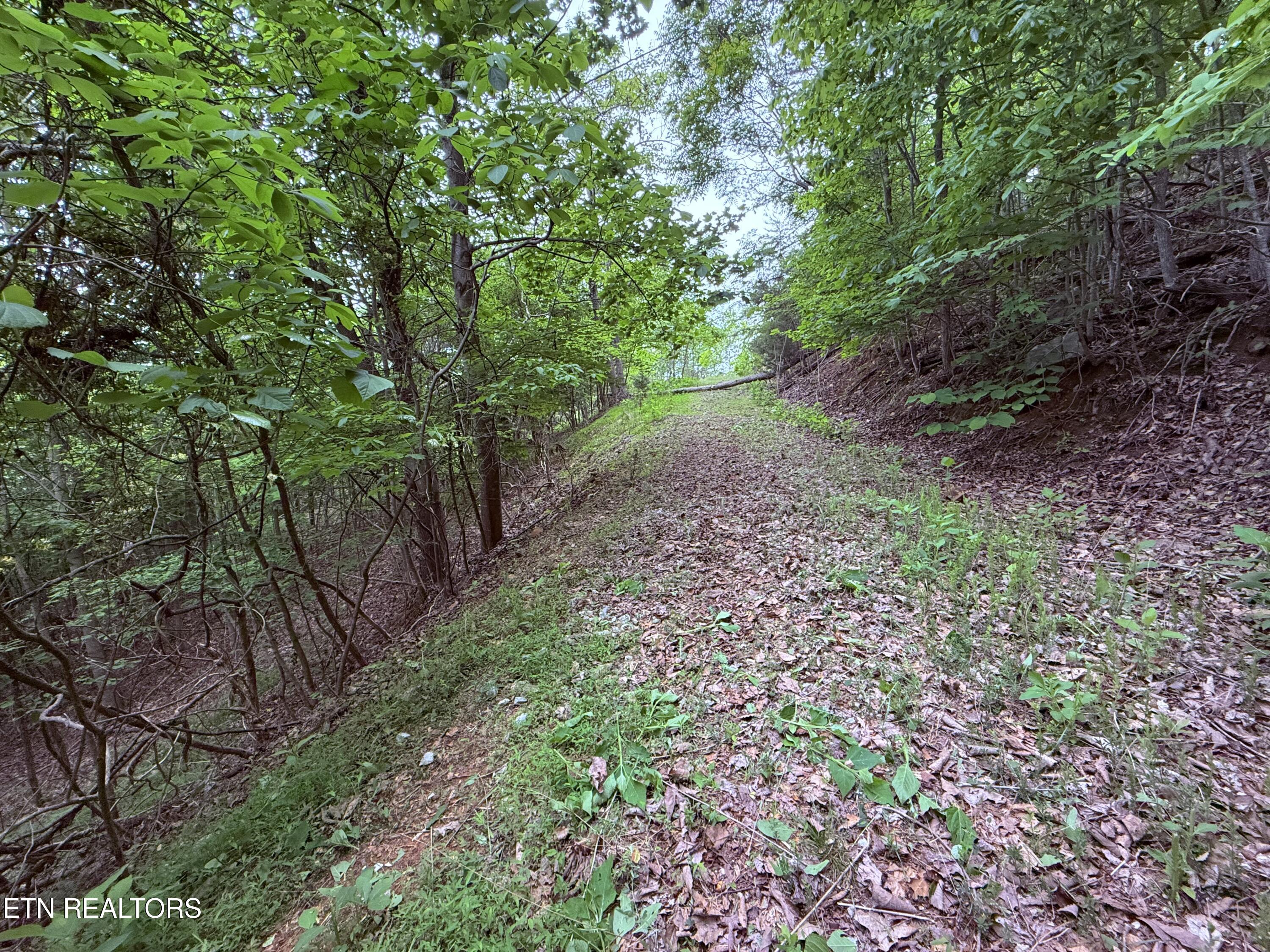 211 Blackstone Lane New Tazewell TN 37825