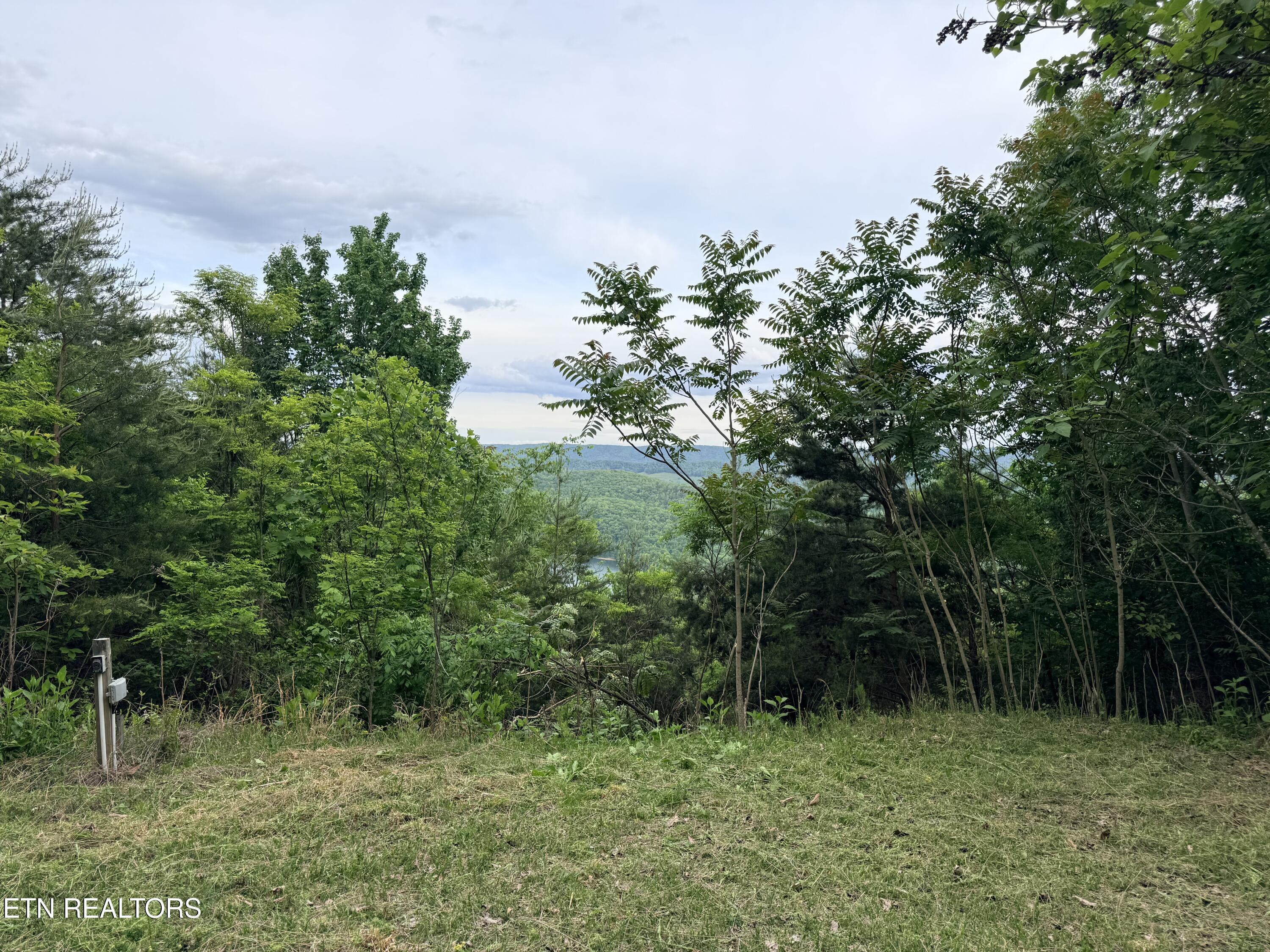 211 Blackstone Lane New Tazewell TN 37825