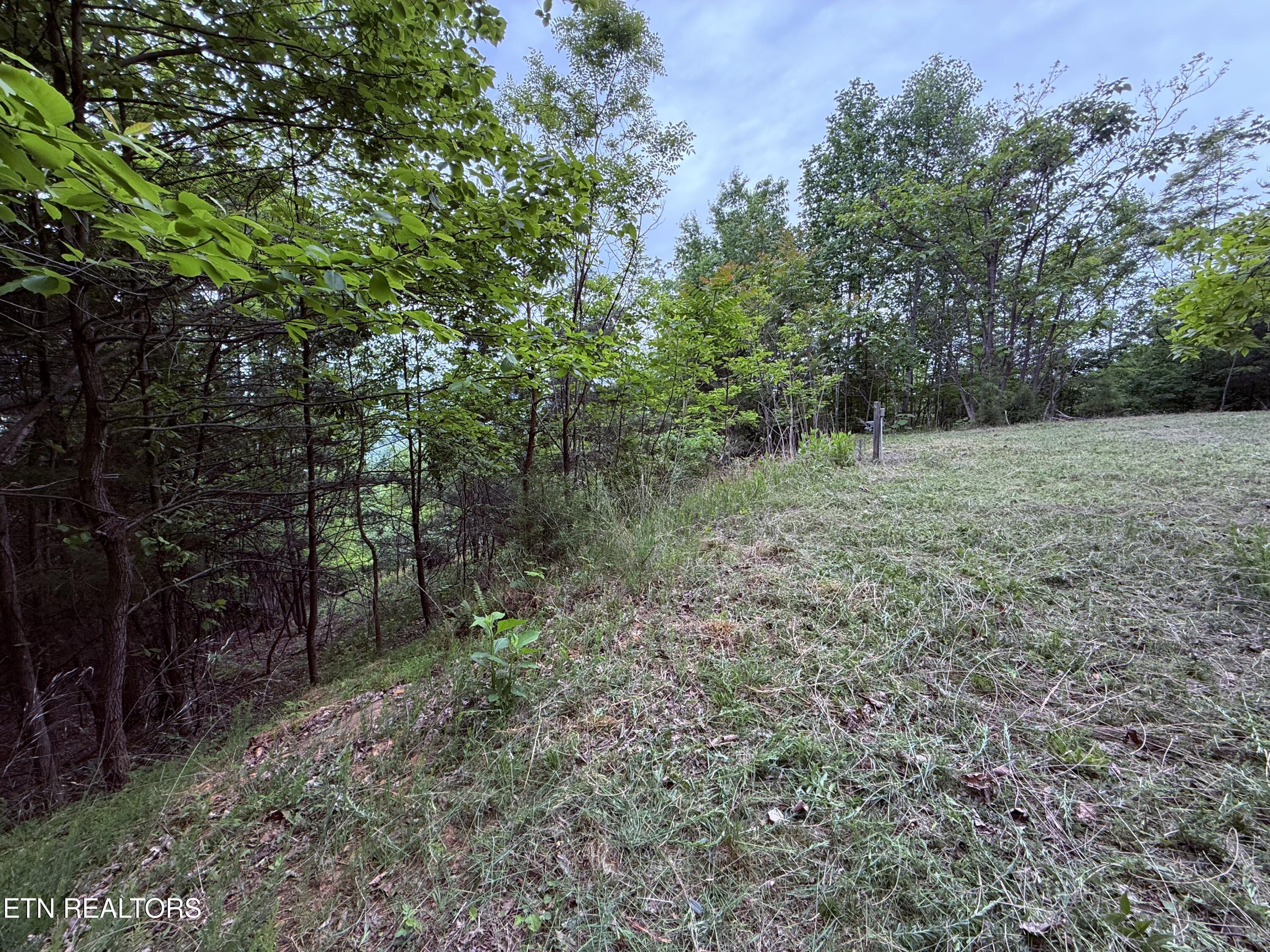 211 Blackstone Lane New Tazewell TN 37825