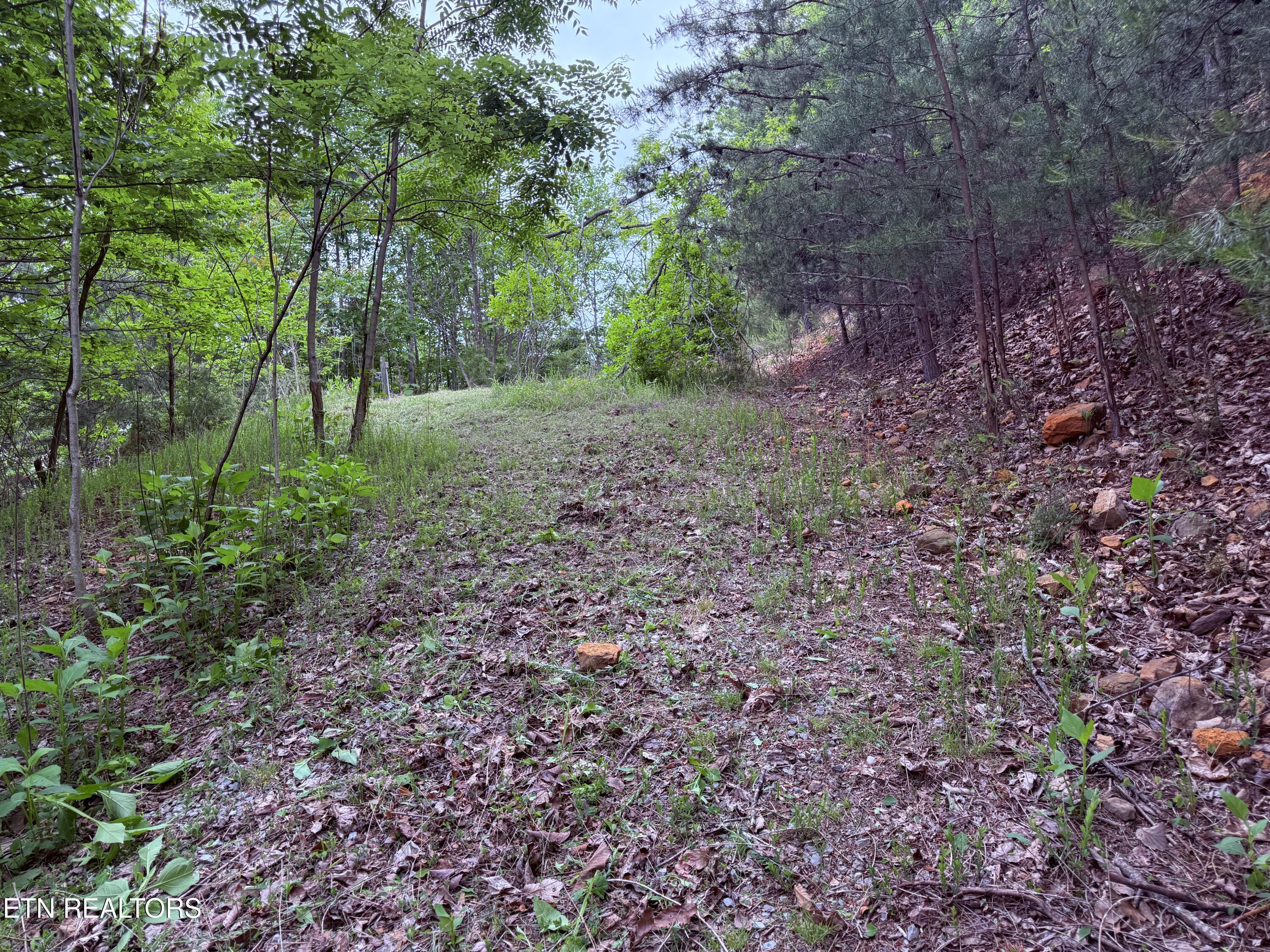 211 Blackstone Lane New Tazewell TN 37825